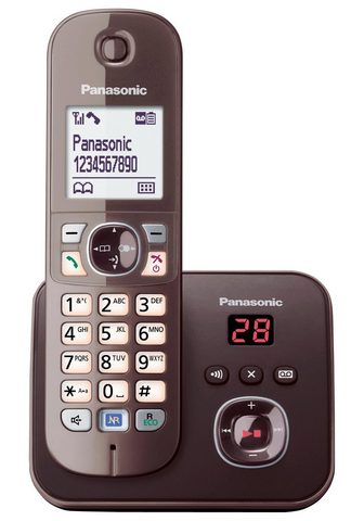 Panasonic KX-TG6821G Schnurloses DECT-...