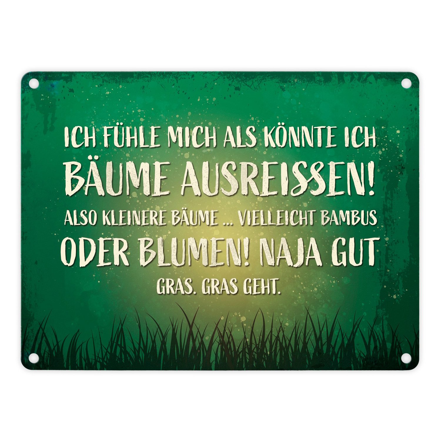 Metallschild Metallschild mit Spruch: Ich fühle mich als könnte ... Blechschild