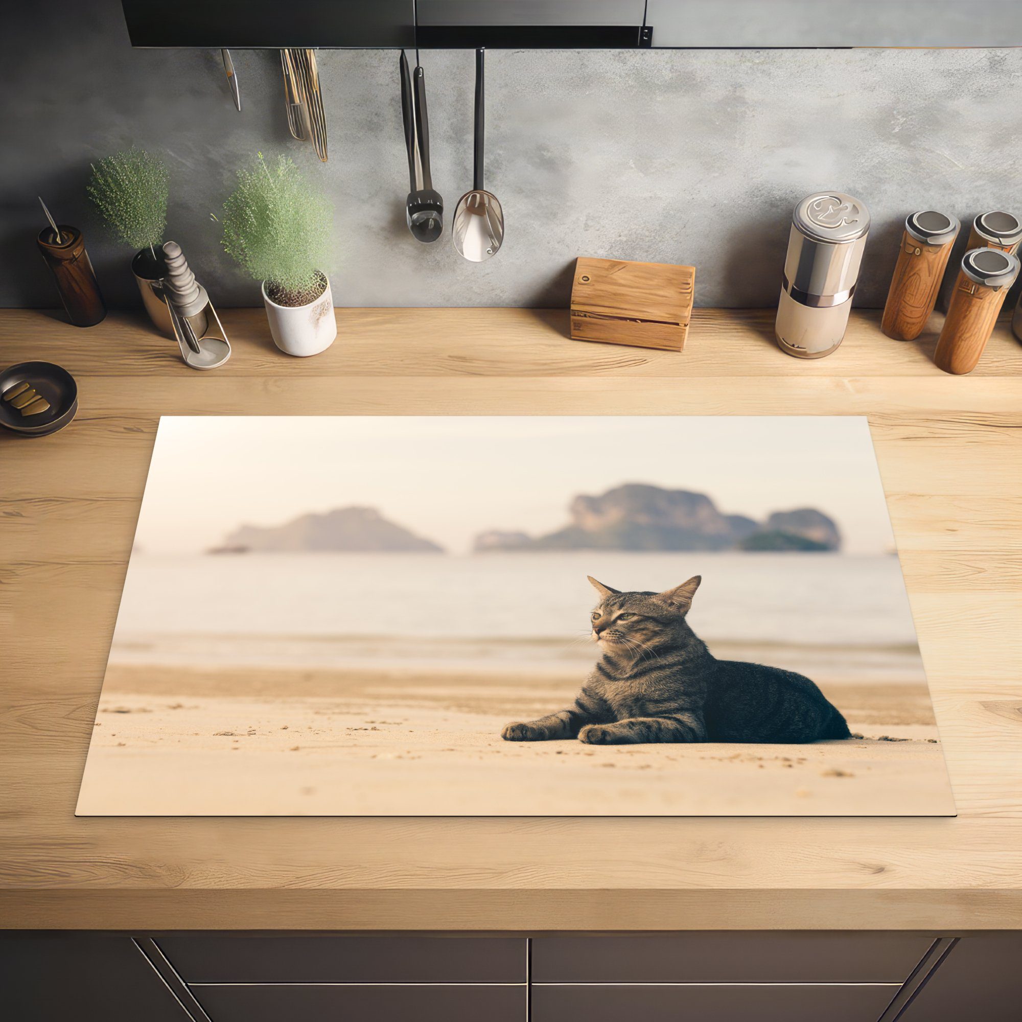 MuchoWow Herdblende-/Abdeckplatte Katze liegt am Induktionskochfeld die Strand, Ceranfeldabdeckung Schutz küche, (1 cm, 81x52 für tlg), Vinyl