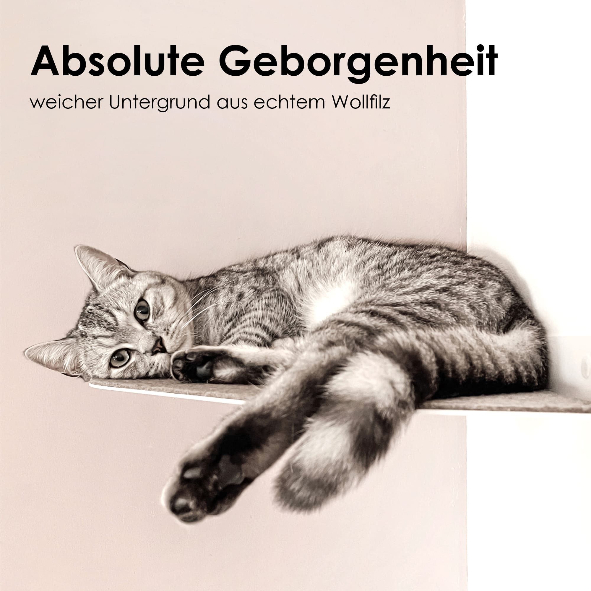 LucyBalu Katzenliege CORNER Katzenliege