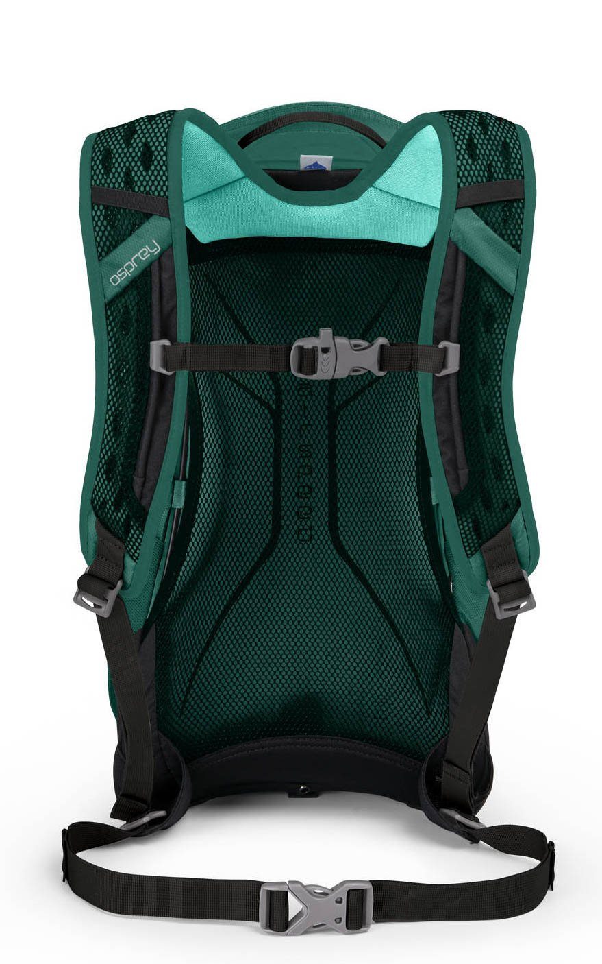 Green Aloe Osprey Rucksack