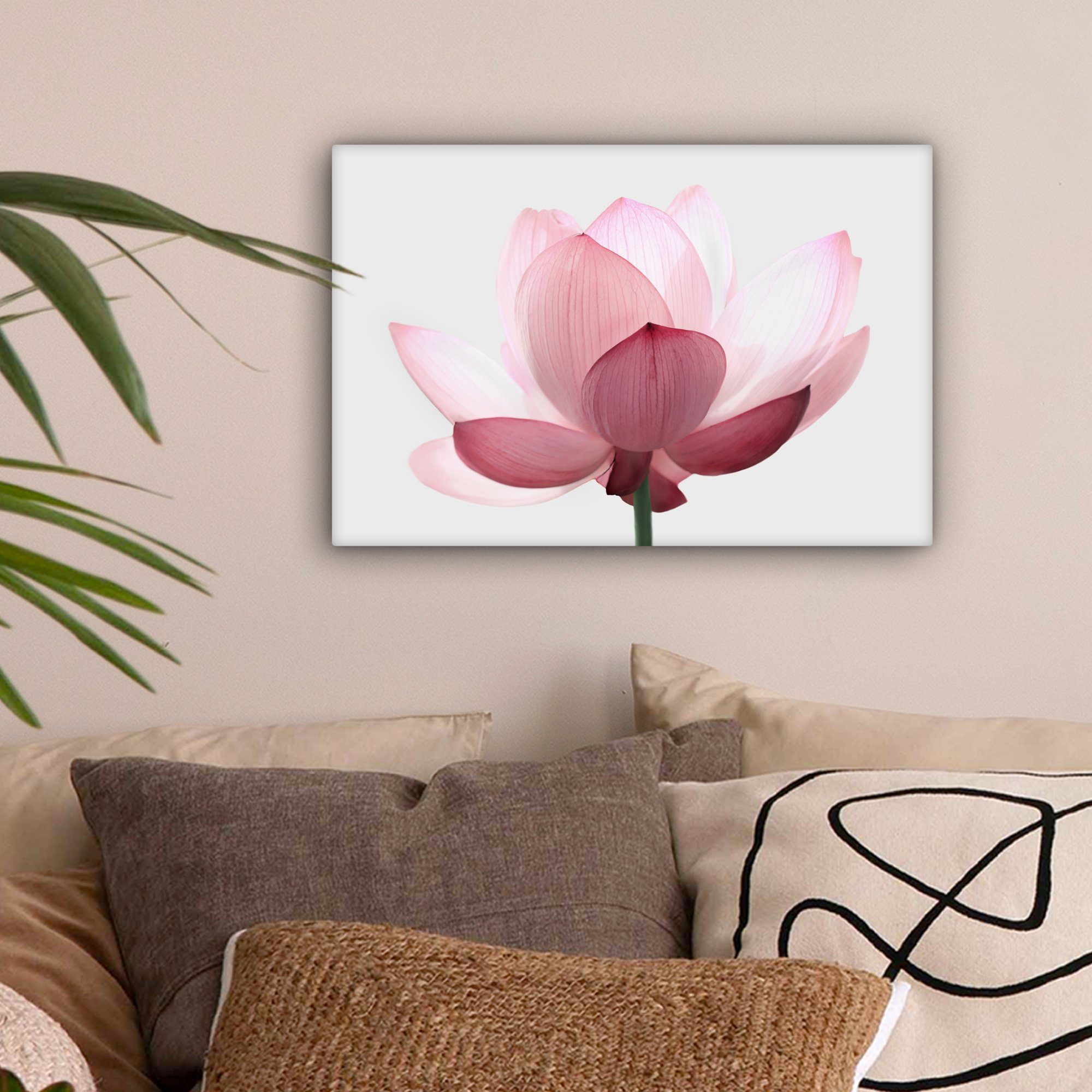 OneMillionCanvasses® Leinwandbild Blumen - Rosa - günstig online kaufen