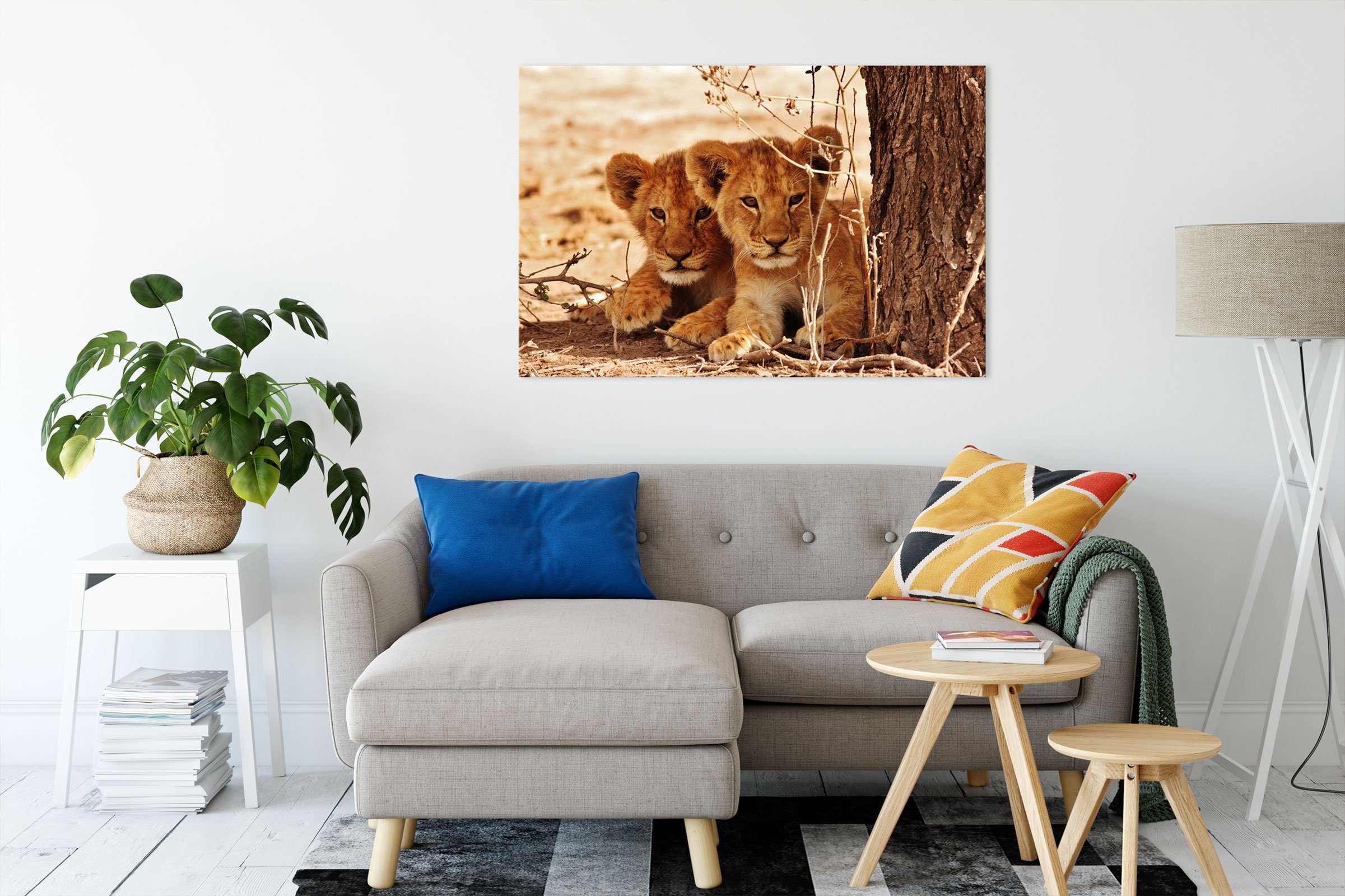 Pixxprint Leinwandbild Junge Löwen im Schatten eines Baumes, Junge Löwen im günstig online kaufen