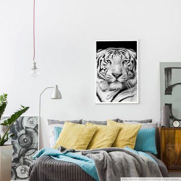 Sinus Art Poster Tierfotografie 60x90cm Poster Porträt eines weißen bengalischen Tigers schwarz weiß