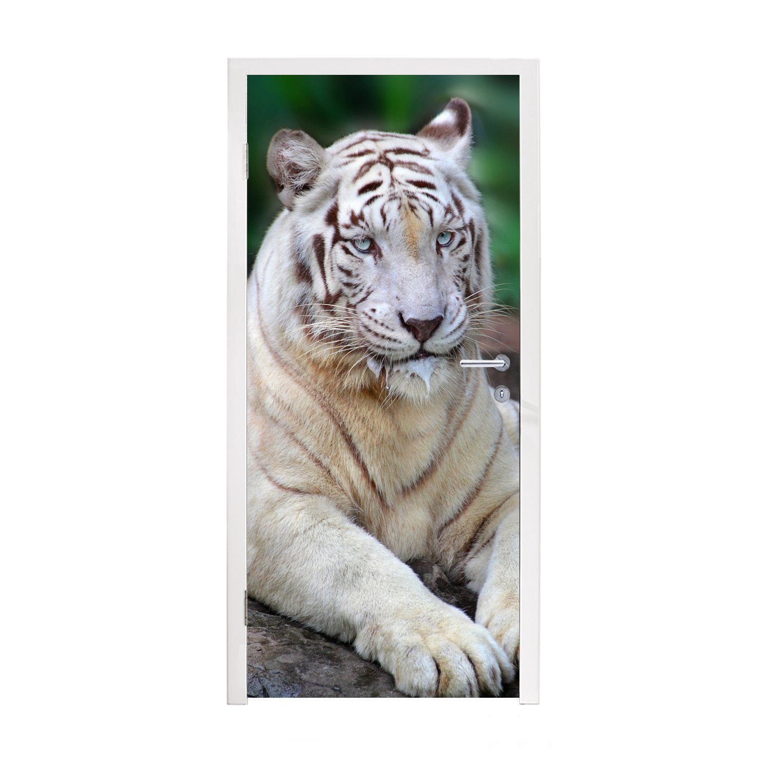 MuchoWow Türtapete Weißer Tiger - Baumstamm - Wald, Matt, bedruckt, (1 St), Fototapete für Tür, Türaufkleber, 75x205 cm