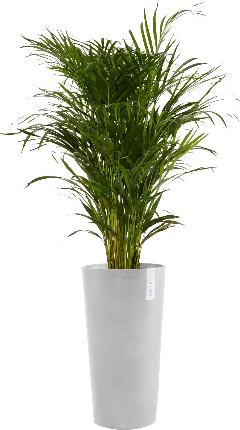 Grey, HIGH cm ECOPOTS White BxTxH: AMSTERDAM Blumentopf 34x34x66 MID