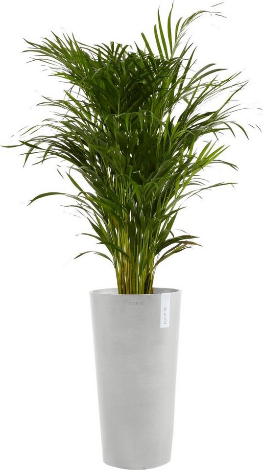 Thumbnail - ECOPOTS Blumentopf AMSTERDAM MID HIGH White Grey, BxTxH: 34x34x66 cm