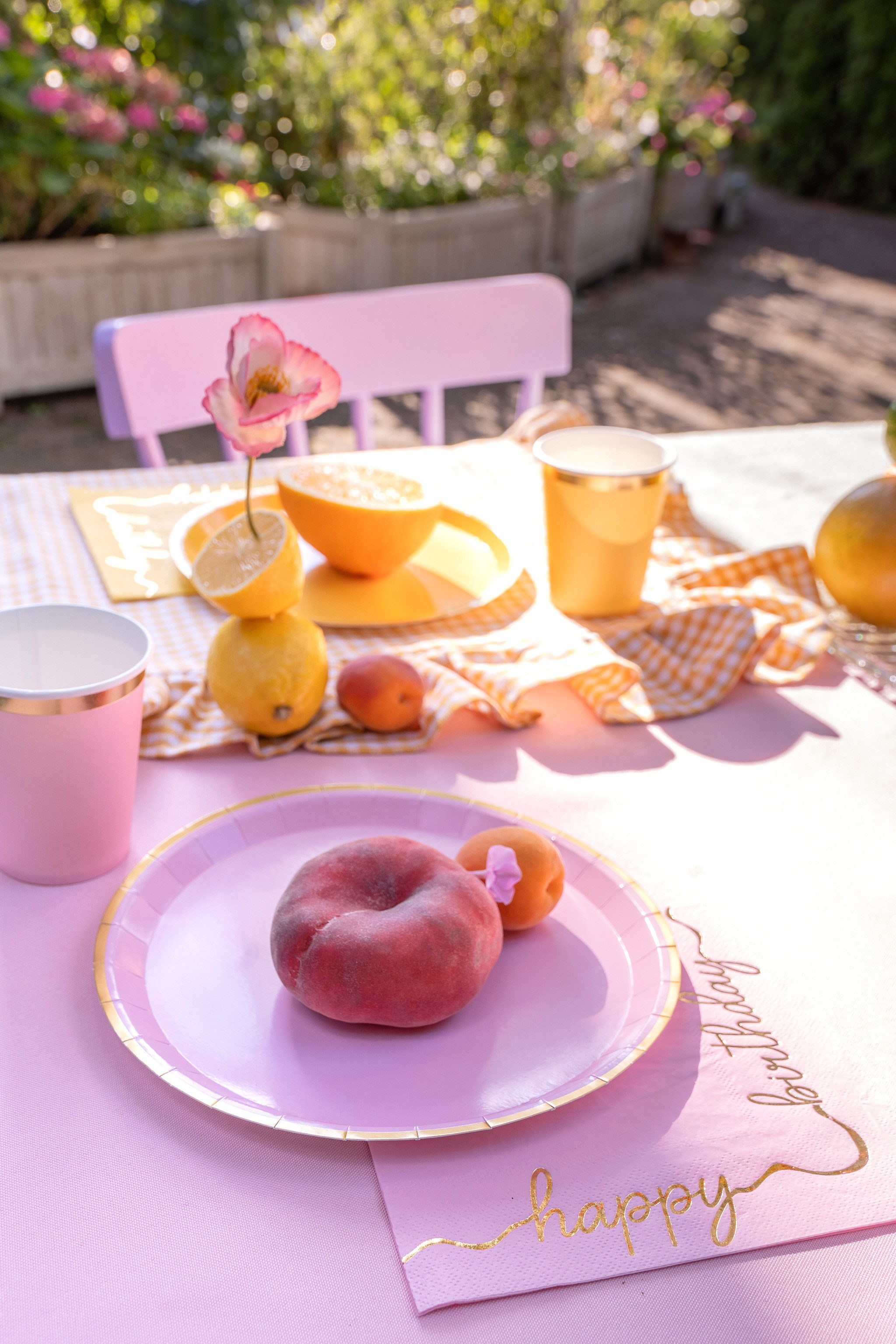 partydeco Teller, Pappteller 21cm mit Goldrand 6er Set Bunt Pastell / Gold