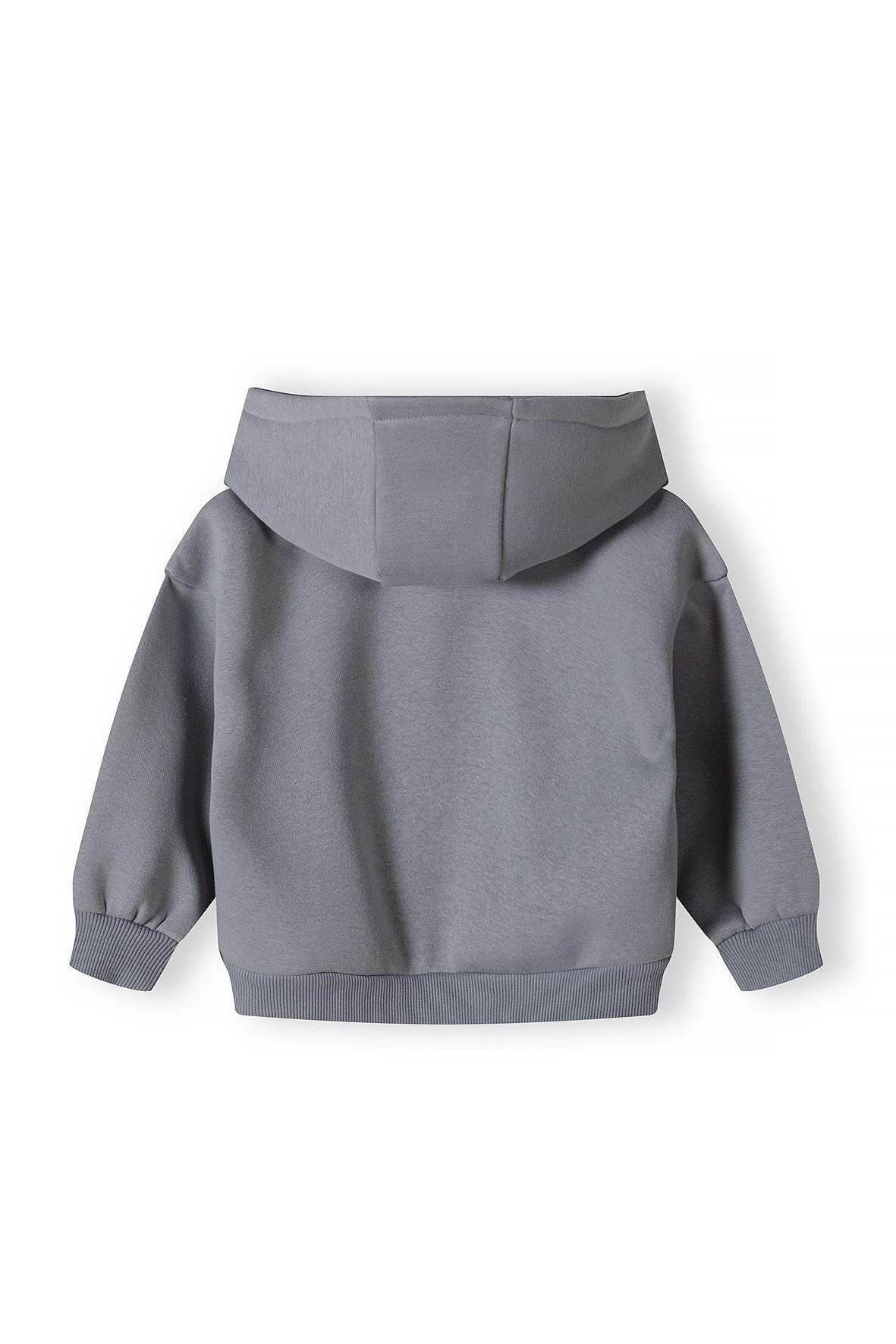 MINOTI Kapuzensweatshirt mit Stickerei (12m-14y) günstig online kaufen