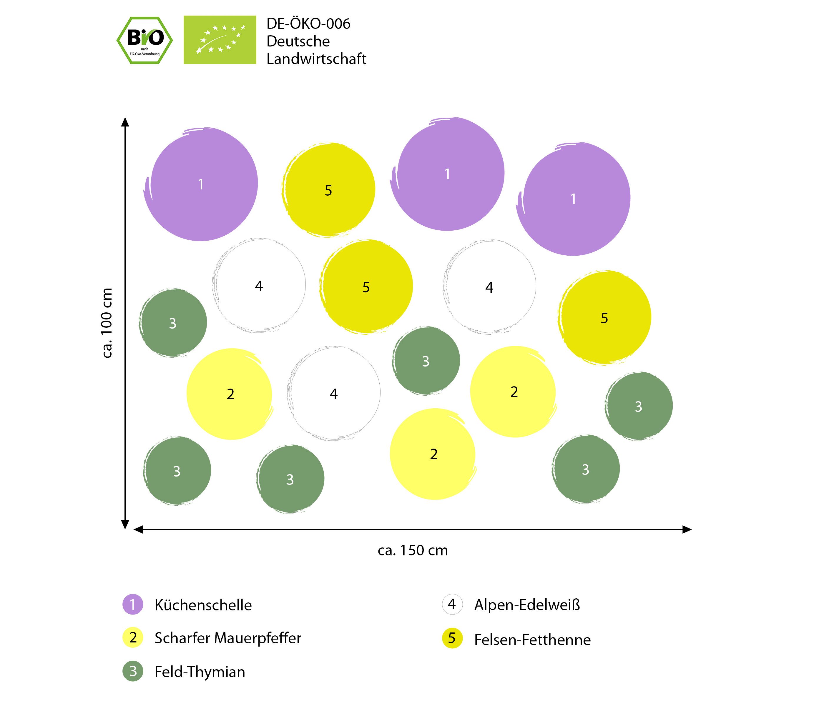 Dehner Staude Bio Stauden-Set Alpenliebe, je 2-15 cm exkl. Pflanztopf, Ø Topf 9 cm, exklusive Landlust Kollektion mit 18 Bio Pflanzen für sonnige Standort