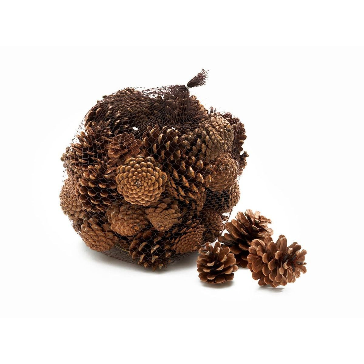 NaDeco Bastelnaturmaterial Tannenzapfen, ca. 5-6cm, 1kg, ca. 50 Stück Pinus nigr