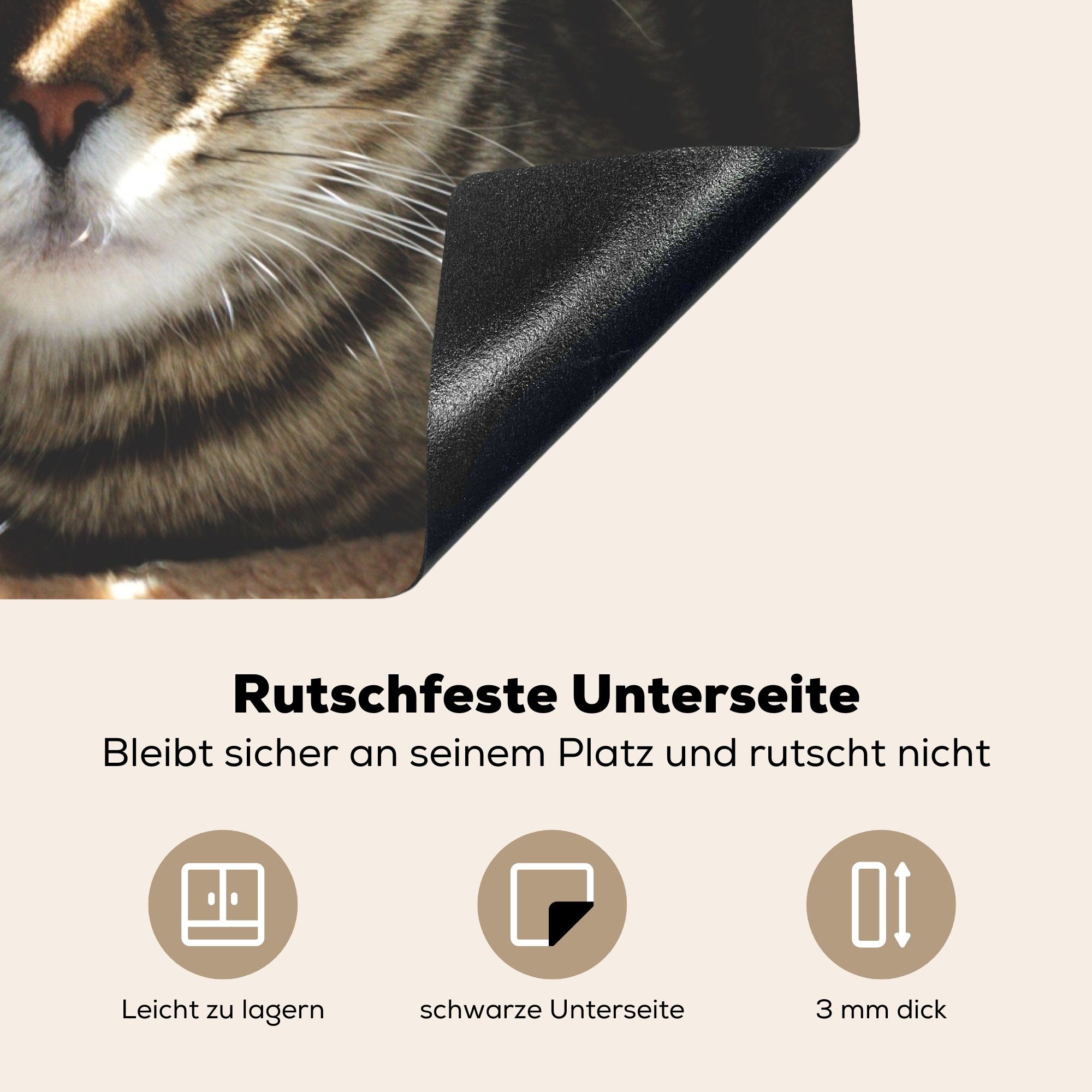 Katze Mobile Vinyl, Arbeitsfläche Licht, - - Herdblende-/Abdeckplatte cm, (1 60x52 tlg), MuchoWow Ceranfeldabdeckung Kissen nutzbar,