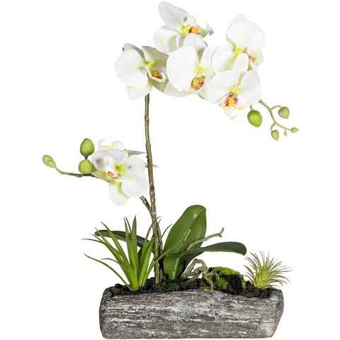 Kunstpflanze Phalaenopsis Orchidee, Creativ green, Höhe 40 cm