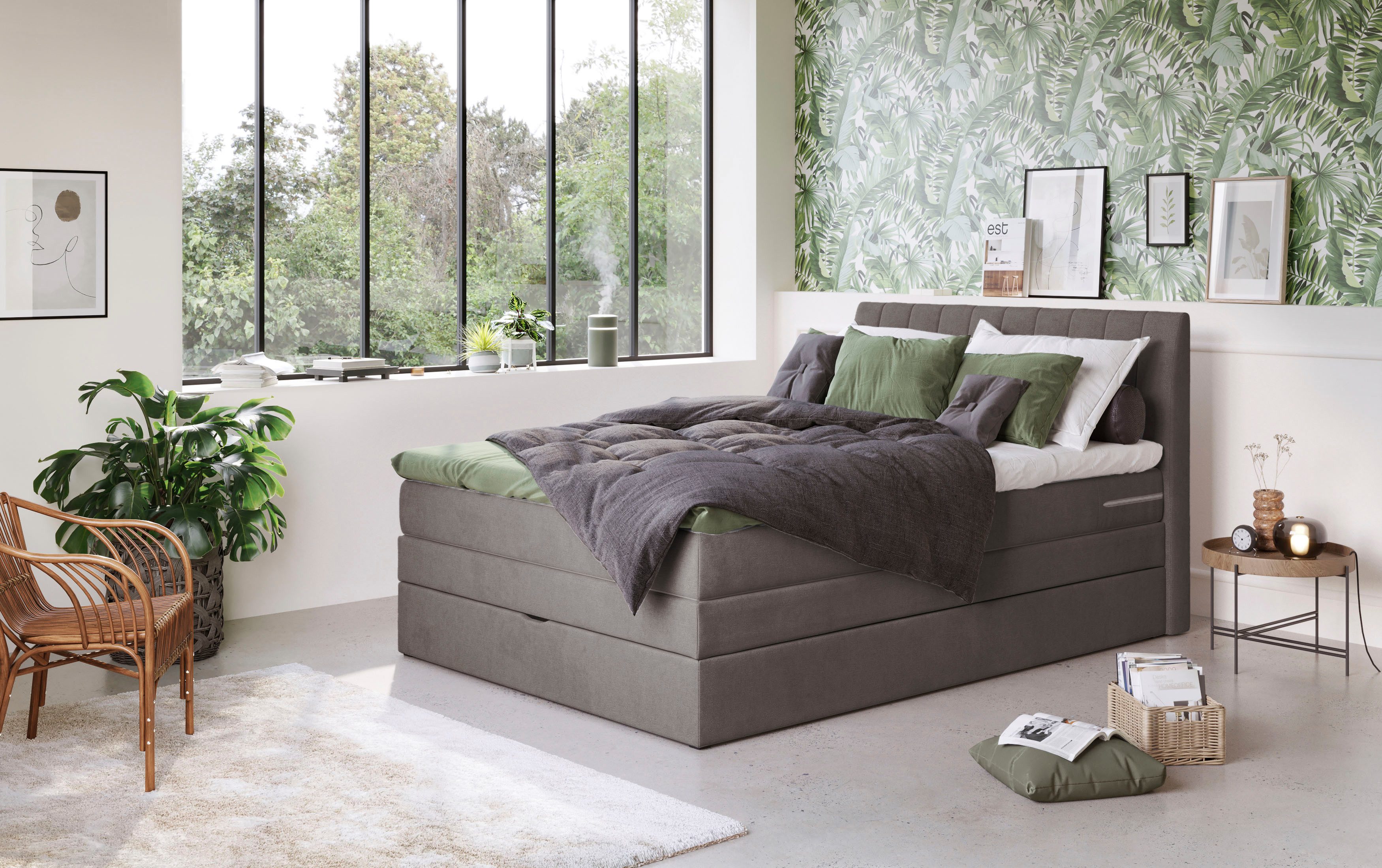 COTTA Boxspringbett Shark inkl. Bettkasten und Topper, erhältlich in den Breiten 140x200cm, 160x200cm und 180x200cm