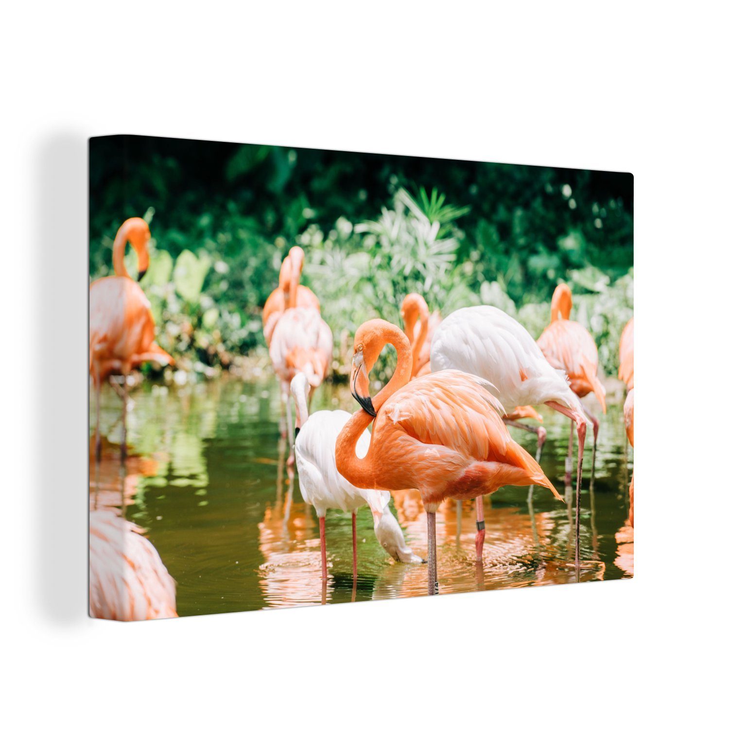 OneMillionCanvasses® Leinwandbild Flamingos stehen im Wasser, (1 St), Wandbild Leinwandbilder, Aufhängefertig, Wanddeko, 30x20 cm
