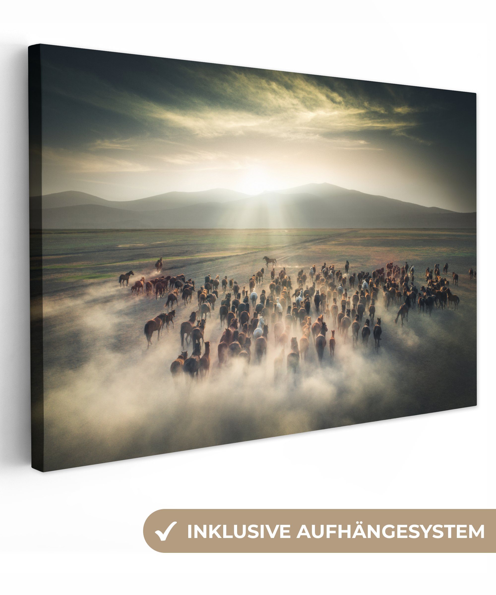 OneMillionCanvasses® Leinwandbild Pferde - Natur - Nebel - Wildtiere, Fotod günstig online kaufen