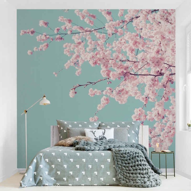 Bilderdepot24 Fototapete Blumen Japanische Kirschblüte Blumentapete Floral Natur Modern Kunst, Glatt, Matt, (Vliestapete inkl. Kleister oder selbstklebend), Wohnzimmer Schlafzimmer Küche Flur Motivtapete Vliestapete Wandtapete