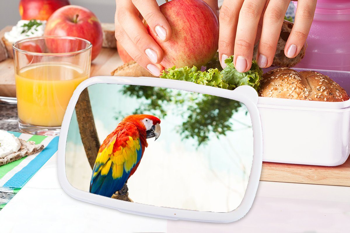 MuchoWow Lunchbox für Tropisch, Brotdose, Mädchen Regenbogen - Kinder weiß - und Papagei für Jungs und - (2-tlg), Brotbox Kunststoff, Erwachsene, Vogel