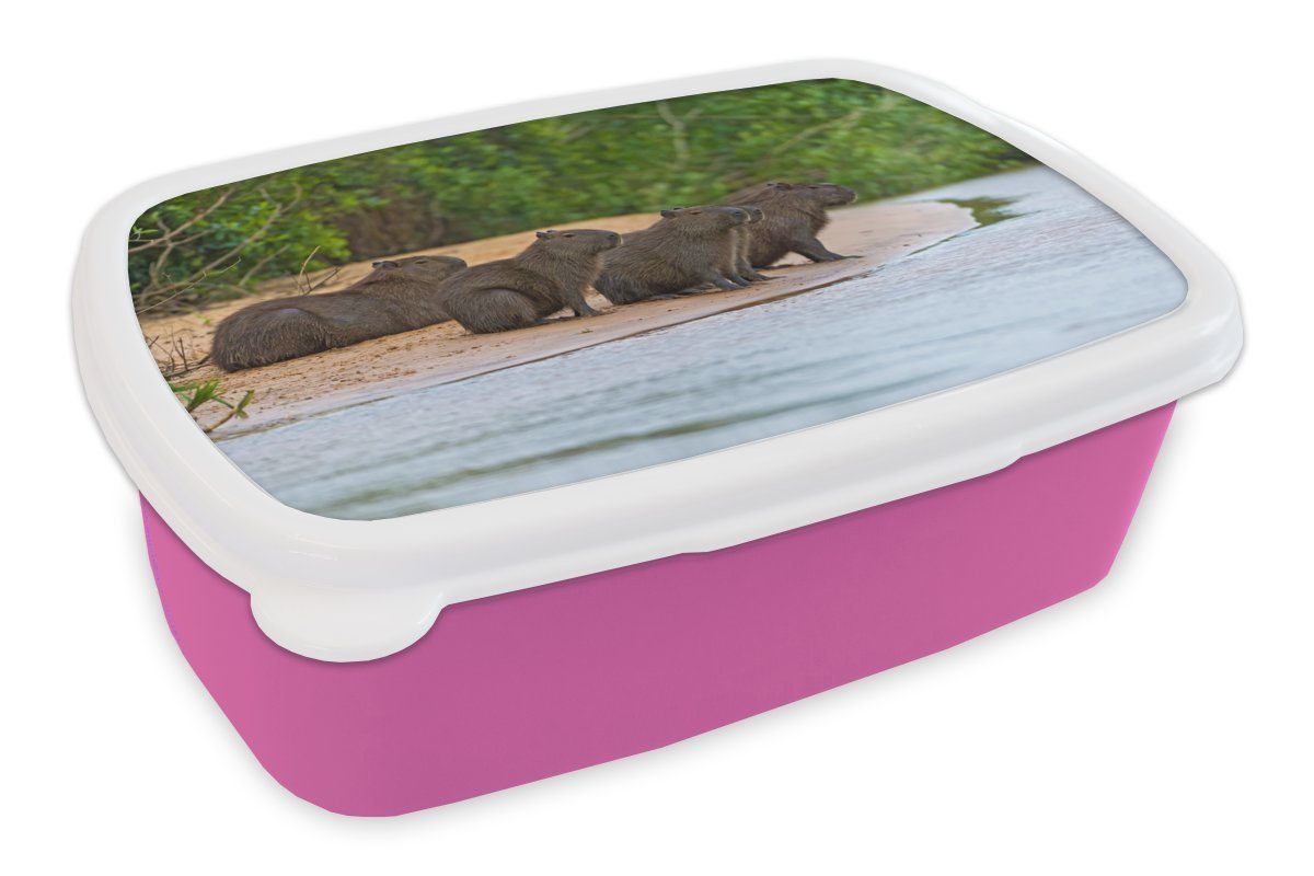 für Wasserschweine Snackbox, Erwachsene, sitzen Sandbank Kinder, (2-tlg), rosa Kunststoff Mädchen, Lunchbox Brotdose Vier Pantanal, im Kunststoff, auf Brotbox einer MuchoWow