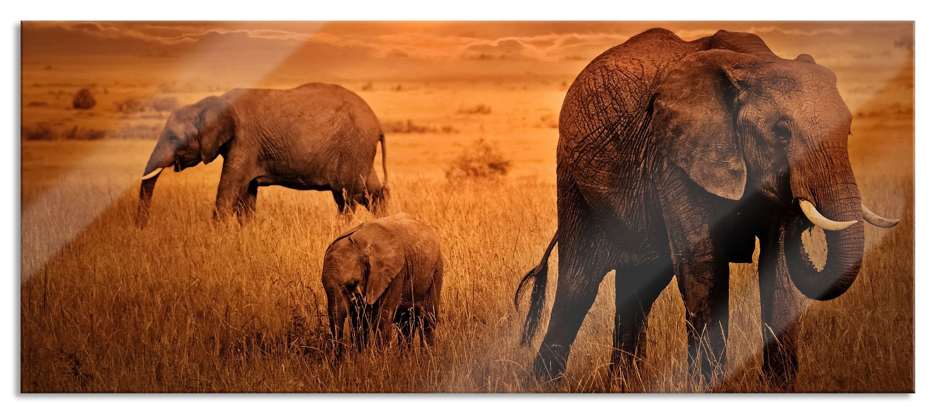in der in Abstandshalter St), der Savanne Aufhängungen (1 Pixxprint Glasbild Elefanten Savanne, Glasbild aus Elefanten Echtglas, und inkl.