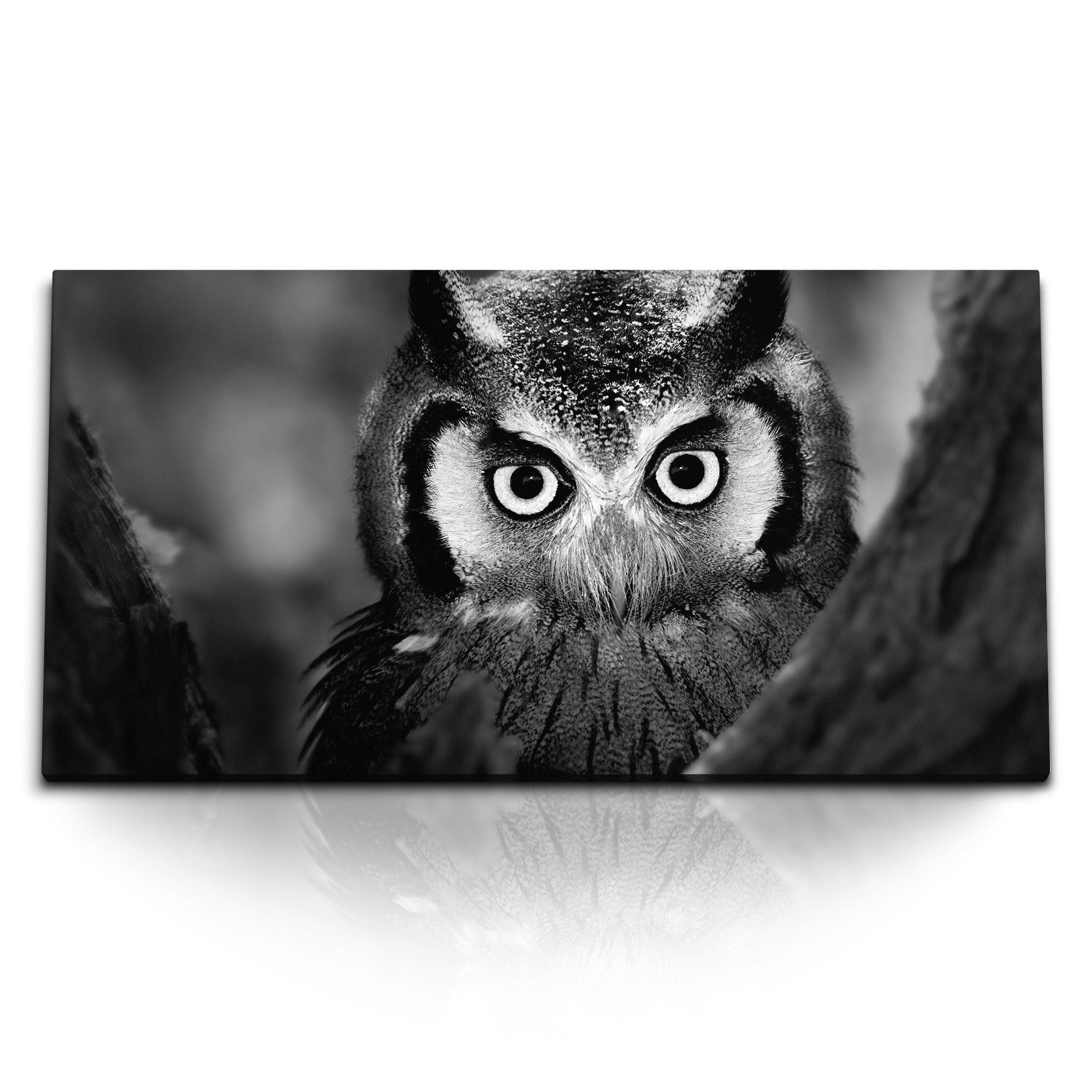 Leinwandbild Kunstdruck Bilder 120x60cm Tierfotografie Schwaz Weiß Eule im Wald
