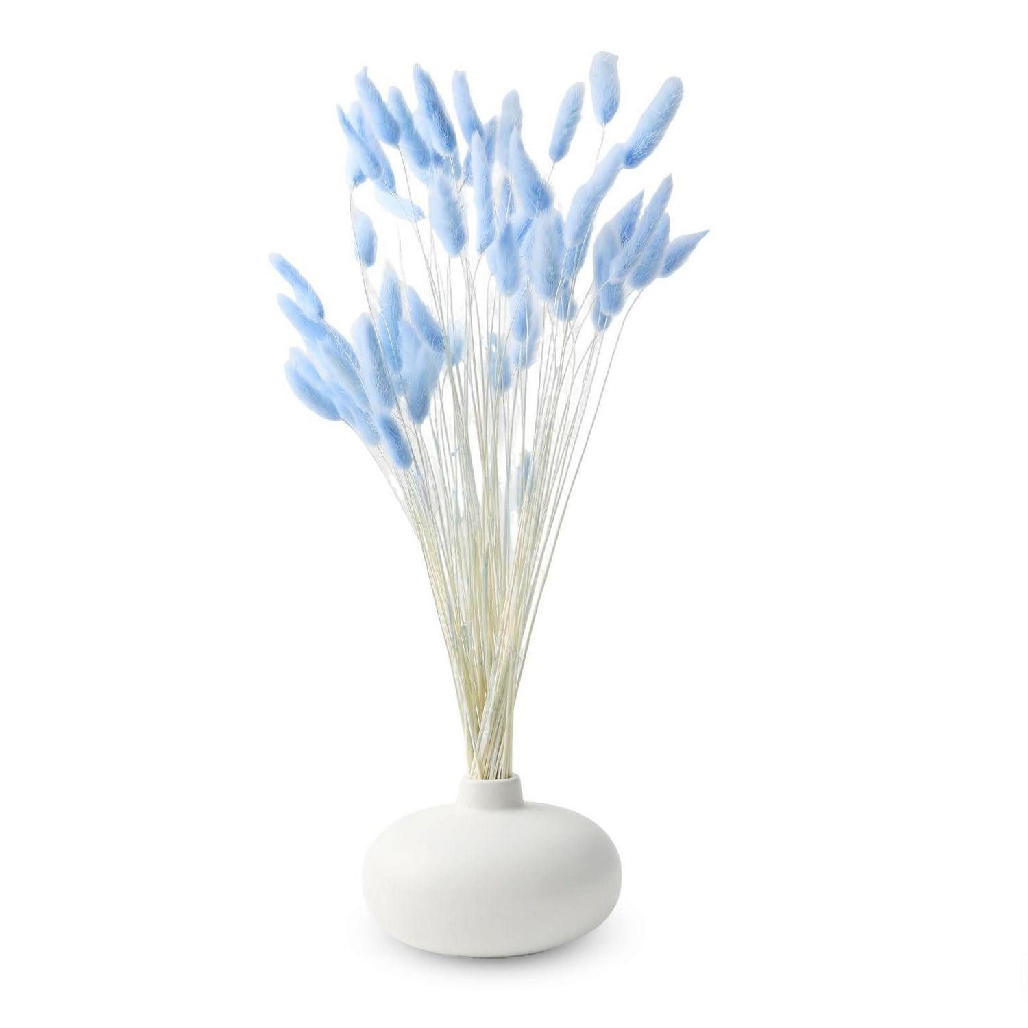 Trockenblume Trockenblumen Deko Hellblau 120St 40cm, LuxusKollektion, Höhe 1 cm