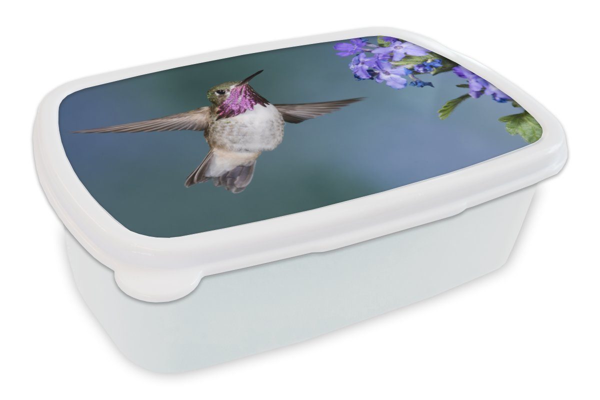 MuchoWow Lunchbox Kolibri - Blume - Blau, Kunststoff, (2-tlg), Brotbox für Kinder und Erwachsene, Brotdose, für Jungs und Mädchen weiß