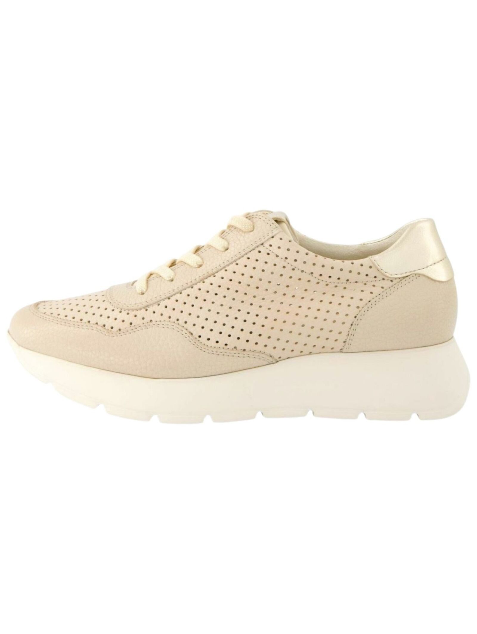 Paul Green Sneaker Leder Sneaker günstig online kaufen