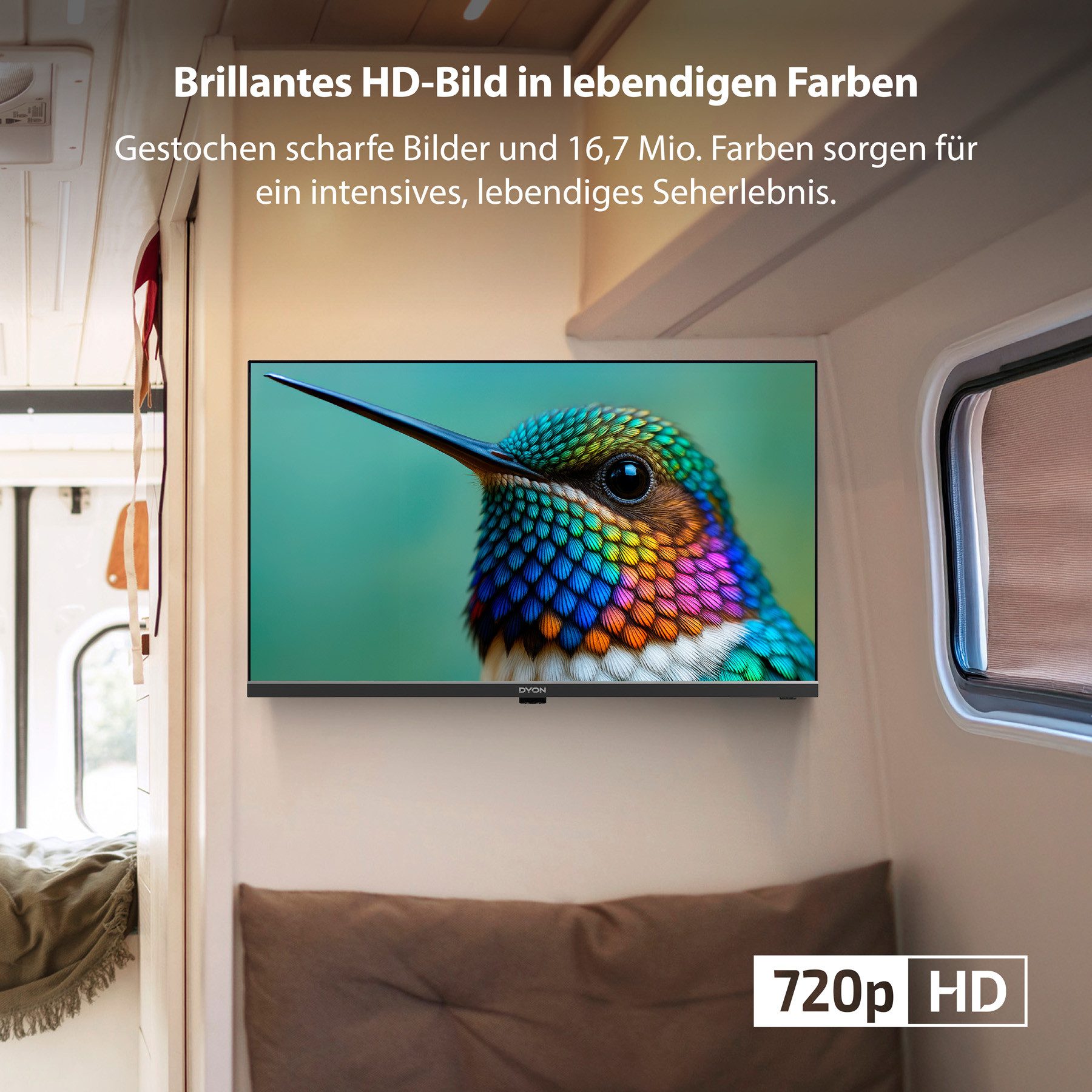 Dyon Enter 24 Pro-X-V LED-Fernseher (60 cm/24 Zoll, HD, 24", 12V für Camping, Triple Tuner, CI+, EPG & Hotelmodus)