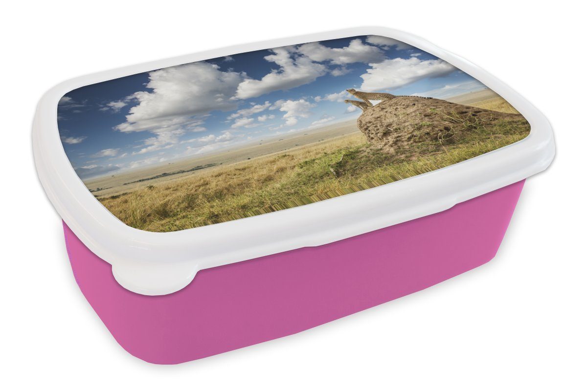 MuchoWow Lunchbox Geparden - Steine - Gras, Kunststoff, (2-tlg), Brotbox für Erwachsene, Brotdose Kinder, Snackbox, Mädchen, Kunststoff rosa