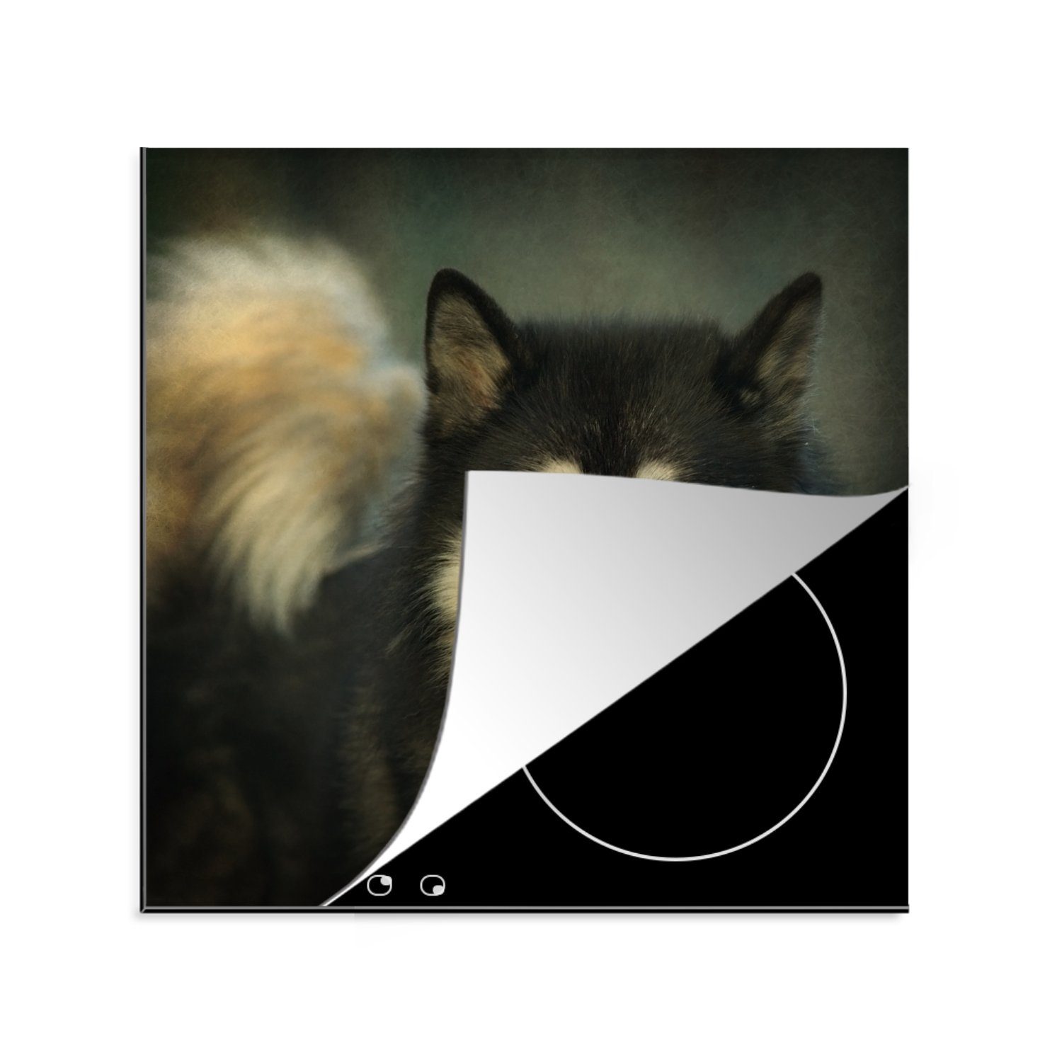 MuchoWow Herdblende-/Abdeckplatte Husky schaut in die Kamera, Vinyl, (1 tlg), 78x78 cm, Ceranfeldabdeckung, Arbeitsplatte für küche