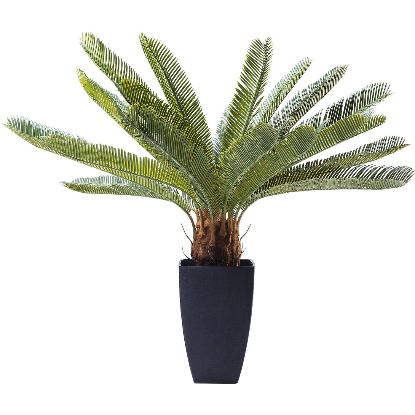 Künstliche Zimmerpflanze Cycas Tree, KARE, Höhe 78.0 cm | Kunstpflanzen