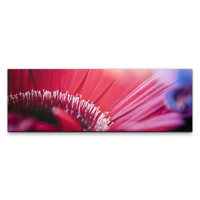 möbel-direkt.de Leinwandbild Bilder XXL Violette Blüte Makro Wandbild auf Leinwand