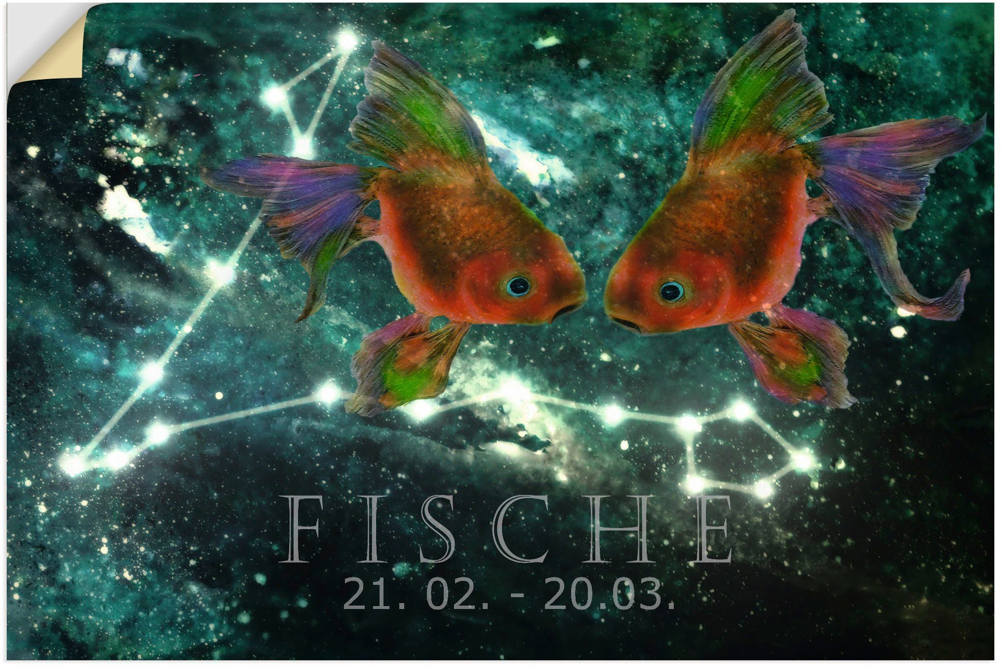 Artland Wandbild »Sternzeichen - Fische«, Bilder von Sternzeichen (1 Stück), in vielen Größen & Produktarten - Alubild / Outdoorbild für den Außenbereich, Leinwandbild, Poster, Wandaufkleber / Wandtattoo auch für Badezimmer geeignet-Otto