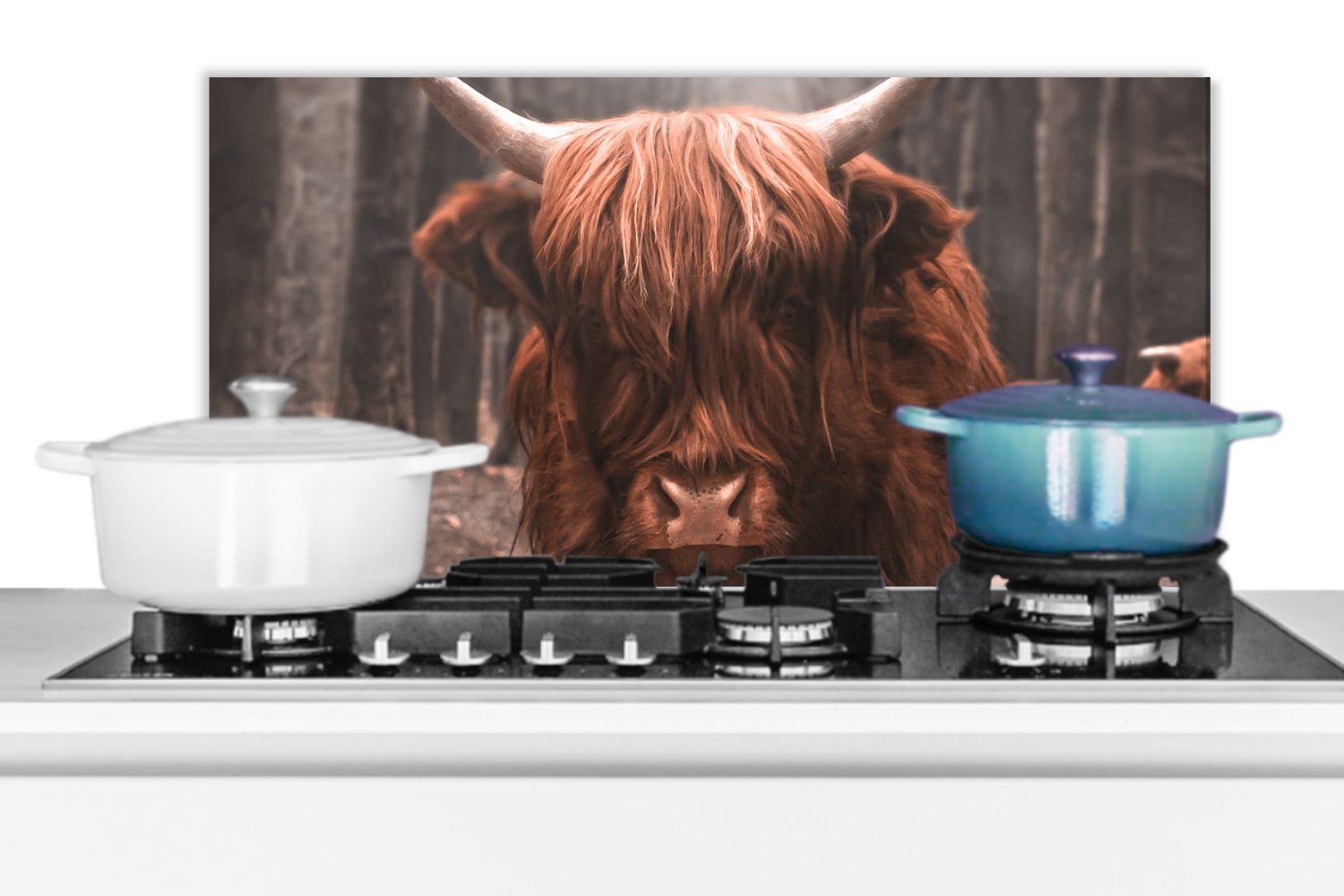 Hochländer (1-tlg), - Wandschutz, - 60x30 für - - Kuh Fett MuchoWow Küchenrückwand Schottischer gegen cm, und Schmutzflecken Tiere Küchen Natur, Wald
