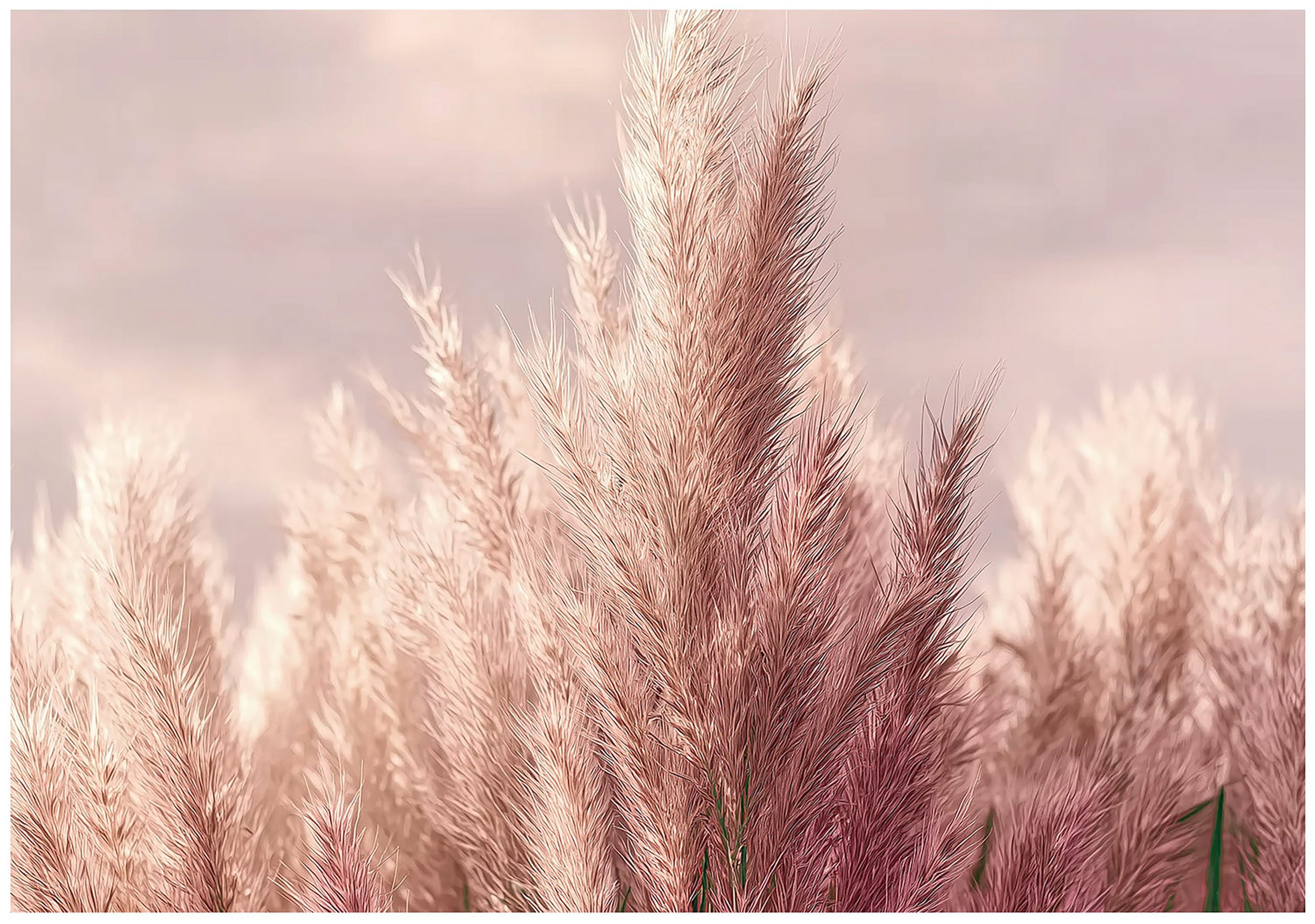 Wallarena Fototapete Weizen Natur Rosa Vlies Tapete Wohnzimmer Schlafzimmer Wandtapete, Glatt Vlies Washable, Weizen, Natur, Rosa, Blumen, Sonne, Hell, (Packung, 2 St., Vlies Fototapete), Vliestapete rosa Wohnzimmer Schlafzimmer Küche Tapete + Kleister