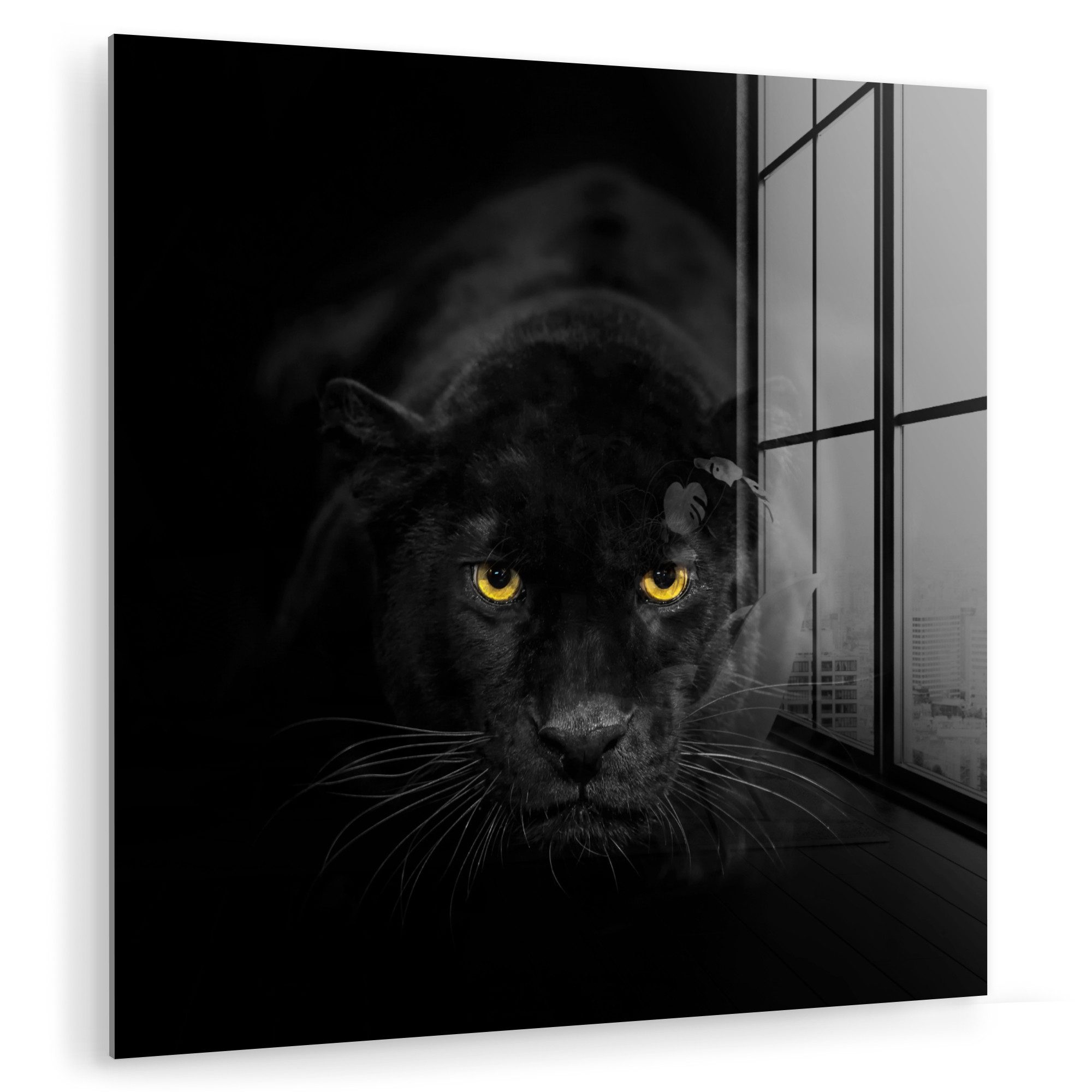 MuchoWow Acrylglasbild Panther - Tiere - Schwarz - Augen, Inkl. Aufhängung, günstig online kaufen