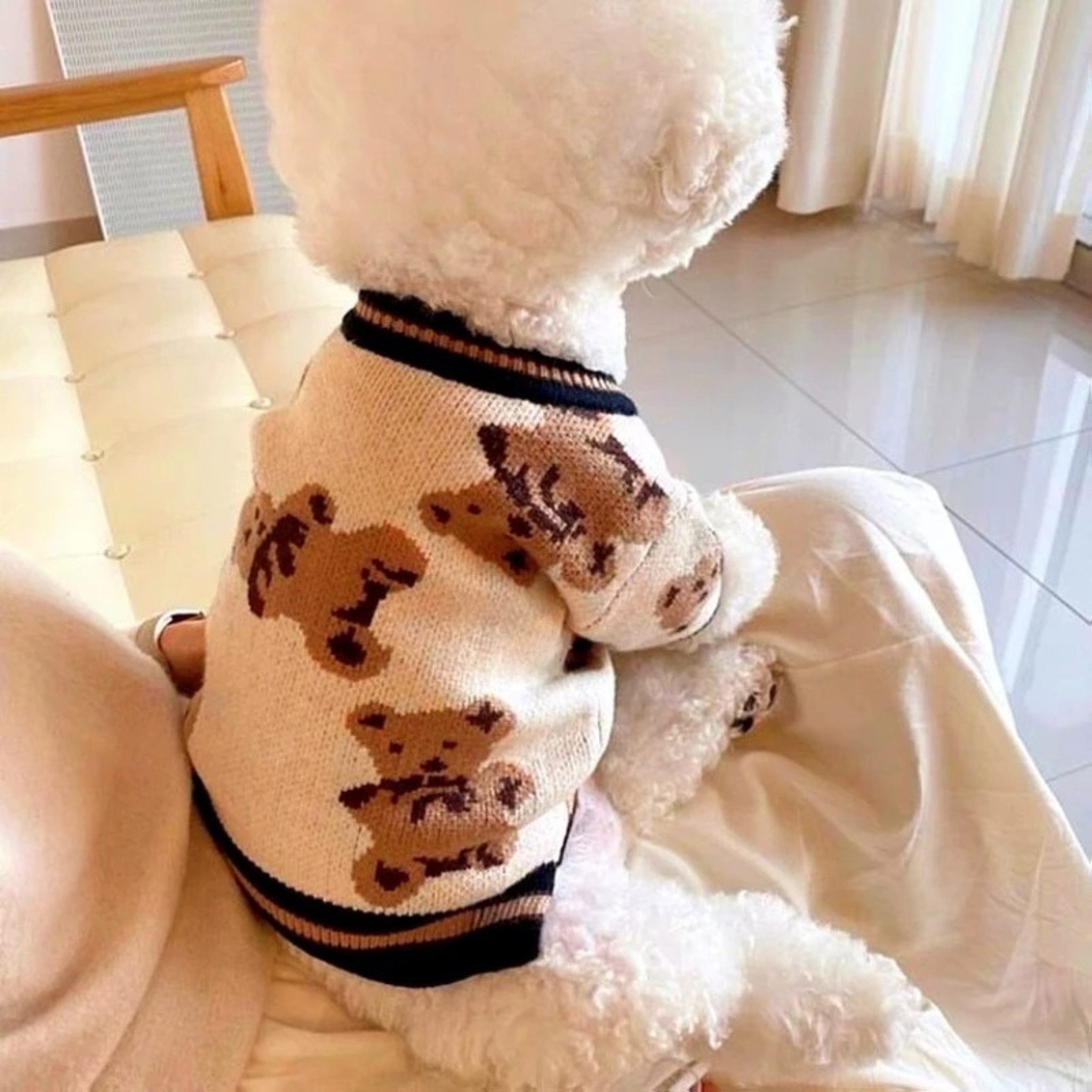 Hundepullover Hunde Strickpullover