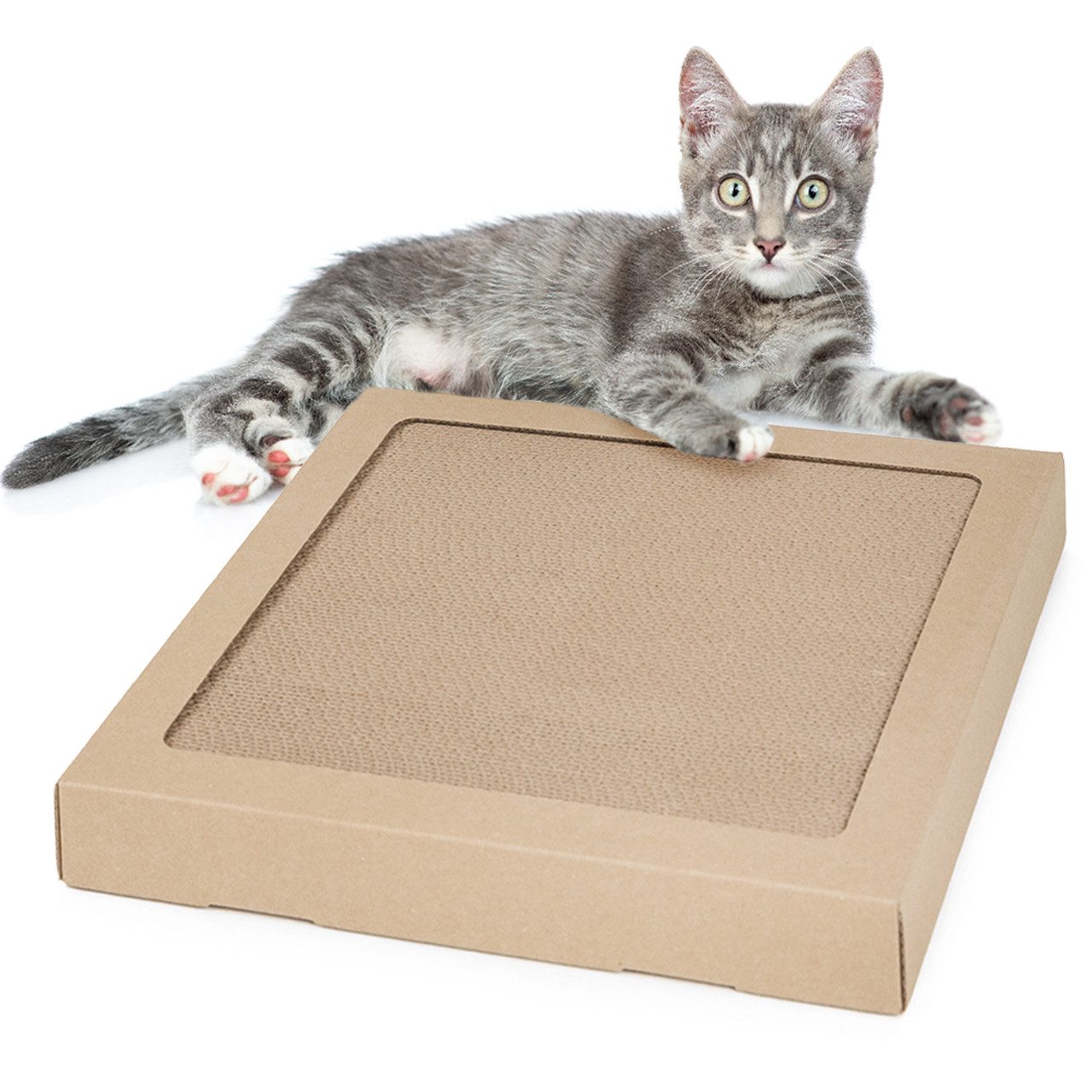 Canadian Cat Company Tier-Intelligenzspielzeug Kratzpappe, Kratzbrett für Katzen, TOM, Kratzkarton zum Krallenwetzen für Katzen, ca. 34 x 34 x 4 cm