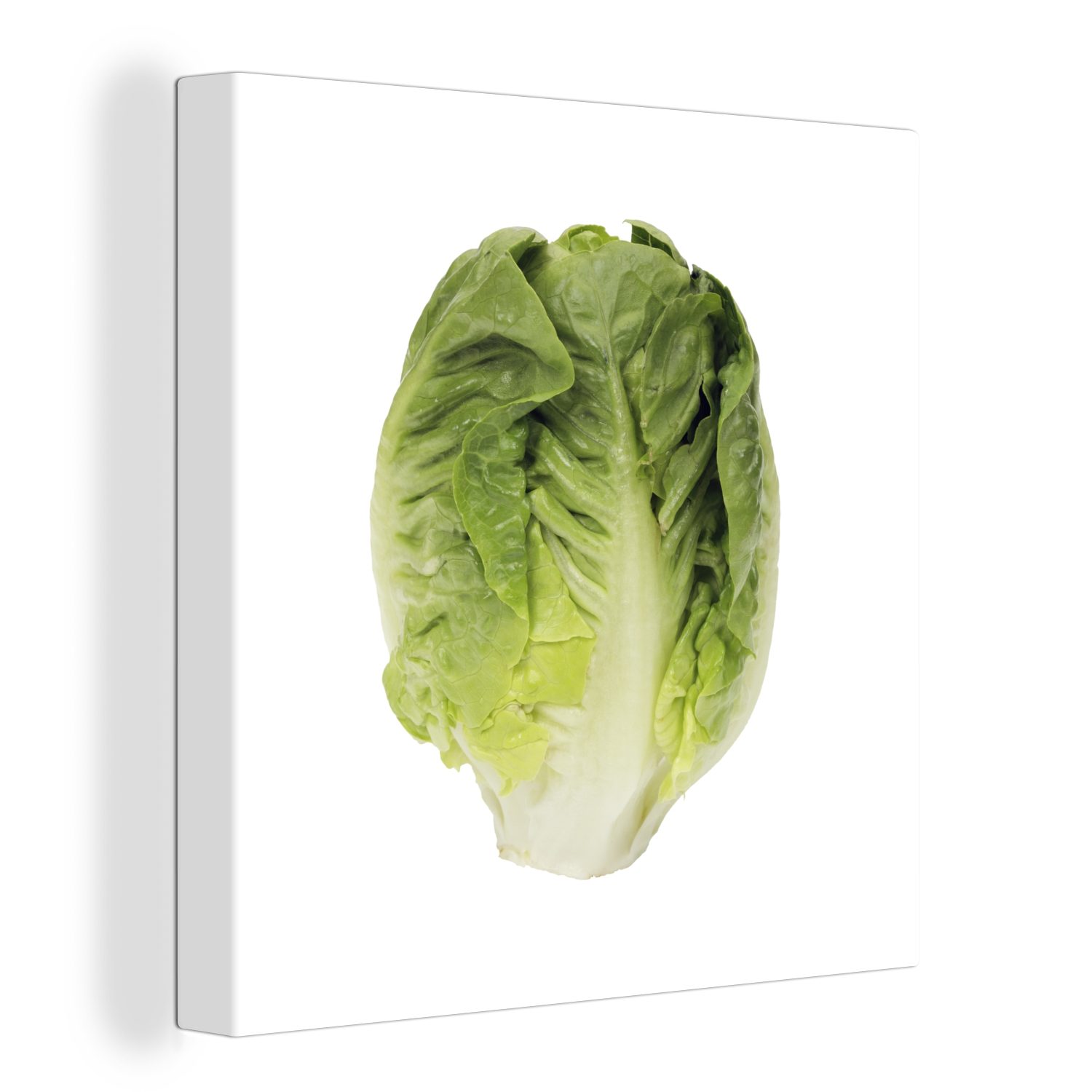 OneMillionCanvasses® Leinwandbild Dunkelgrüner Kopfsalat vor weißem Hintergrund, (1 St), Leinwand Bilder für Wohnzimmer Schlafzimmer