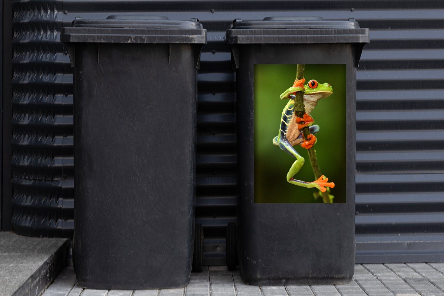 Abfalbehälter Mülleimer-aufkleber, (1 Rotaugenlaubfrosch Dschungel St), Container, MuchoWow Mülltonne, Wandsticker Sticker, im