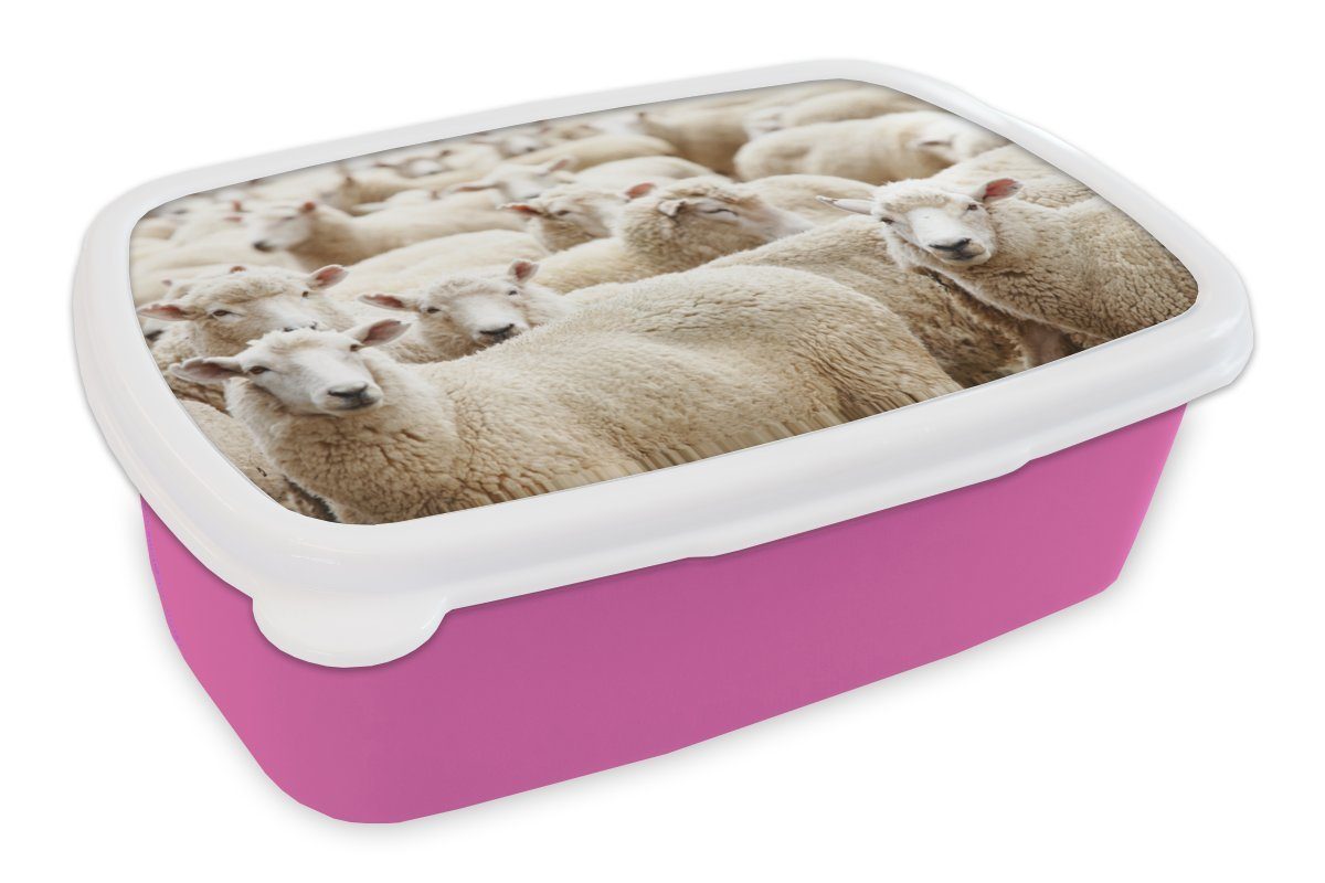 MuchoWow Lunchbox Schafe - Wolle - Weiß, Kunststoff, (2-tlg), Brotbox für Erwachsene, Brotdose Kinder, Snackbox, Mädchen, Kunststoff rosa