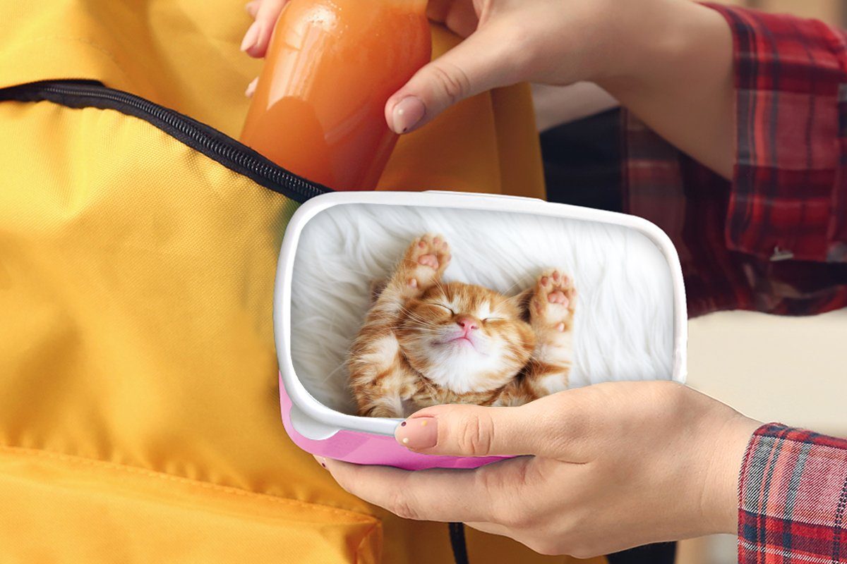 - Kinder, Snackbox, Brotdose - Brotbox - Rot für Mädchen, MuchoWow Kunststoff, Kätzchen, Lunchbox Erwachsene, rosa Kunststoff (2-tlg), Haustiere Katze