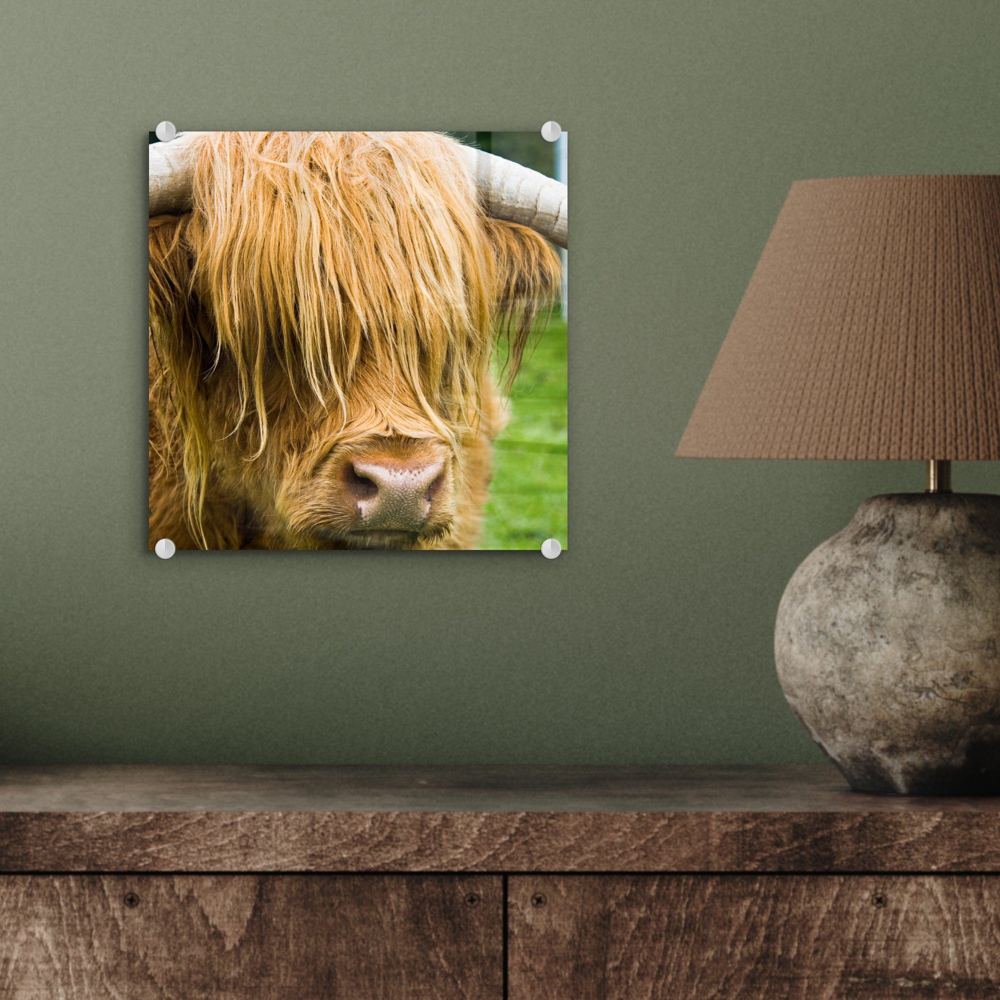 - Acrylglasbild - Foto Glasbilder auf St), (1 - bunt - Schottischer Fell Gras Glas Bilder Kuh, Highlander auf Wanddekoration MuchoWow - Wandbild - - Glas Tiere