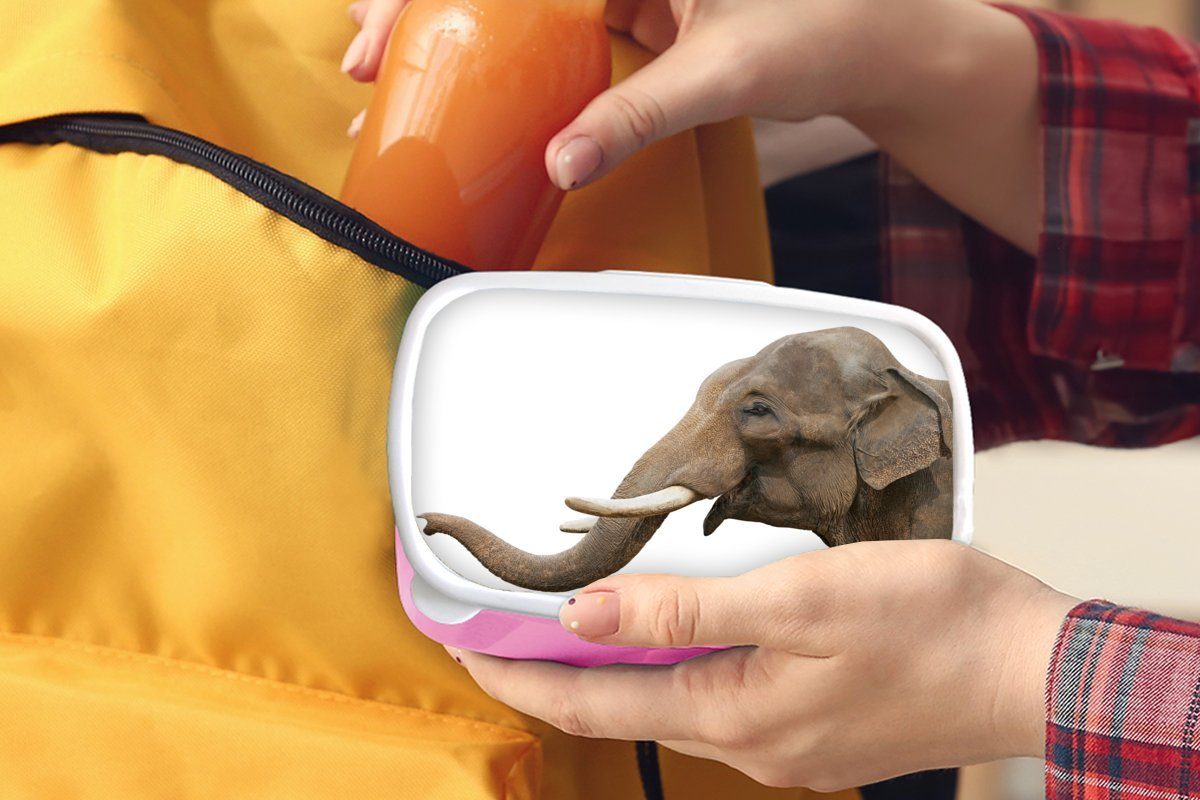 rosa Lunchbox - Mädchen, Brotdose Snackbox, Kunststoff, Weiß, - (2-tlg), Erwachsene, Brotbox Zähne Kunststoff Kinder, MuchoWow für Elefant