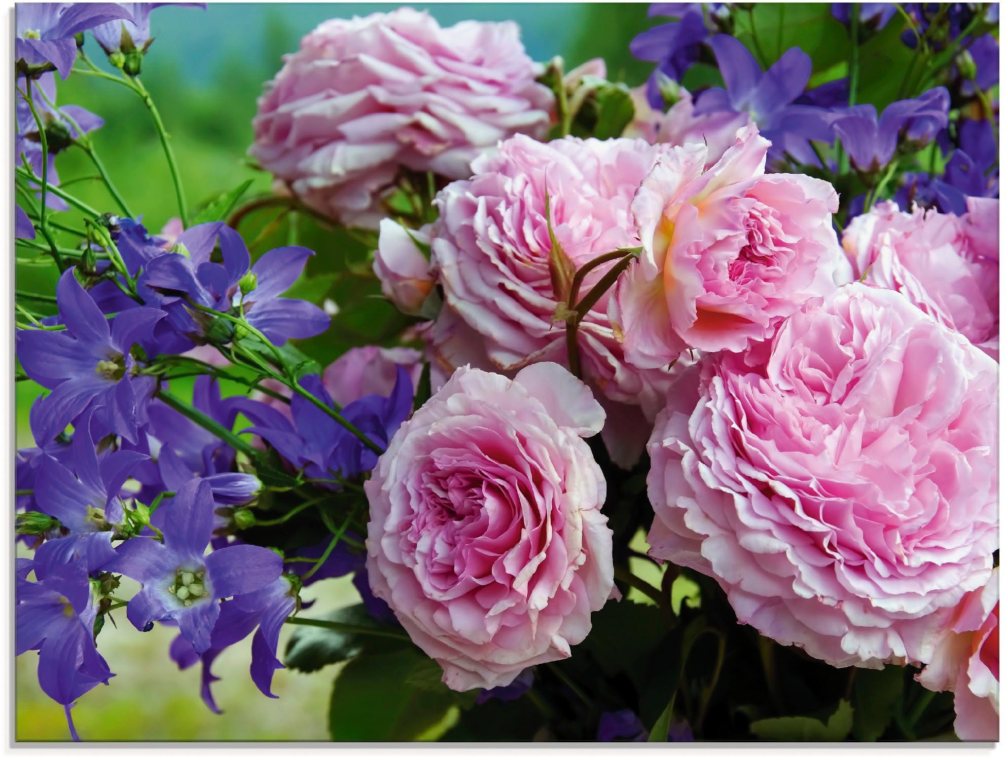 Größen Artland Rosen Glasbild (1 in Glockenblumen, Blumen verschiedenen St), und