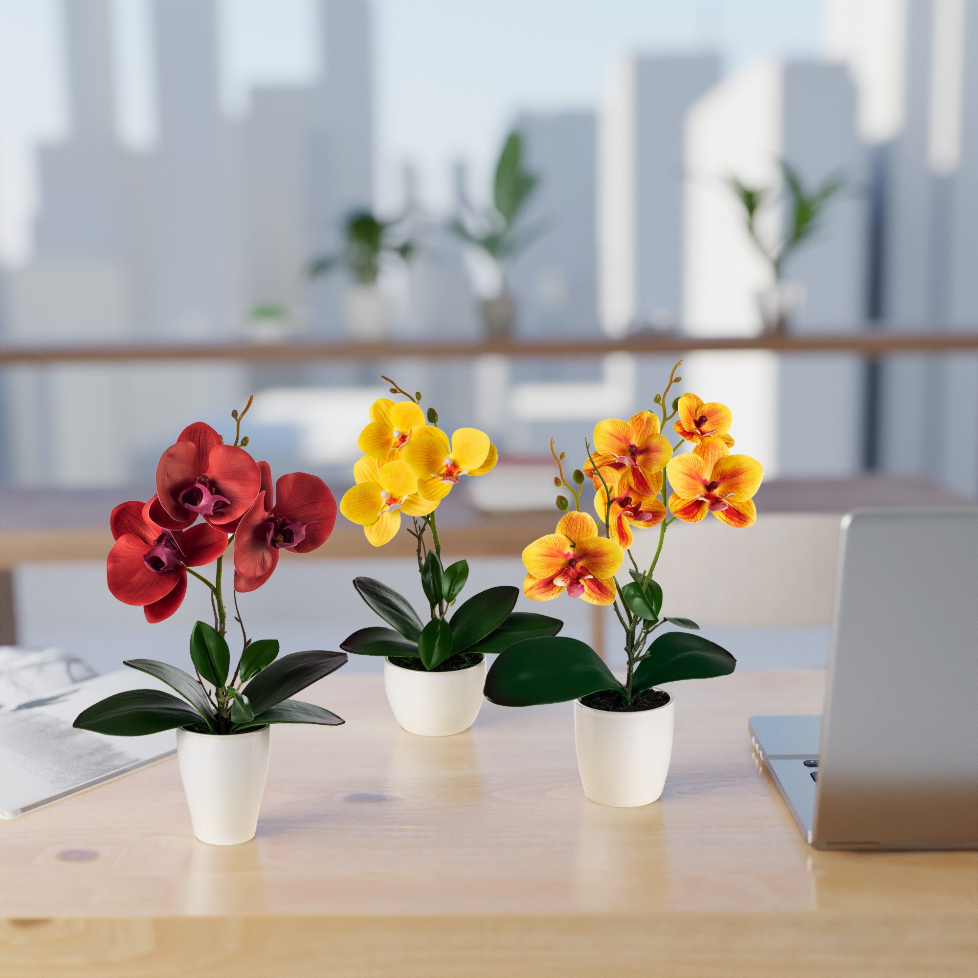 Kunstorchidee 3er Set künstliche Orchideen wie echt (35cm) in Hochglanz-Ker günstig online kaufen