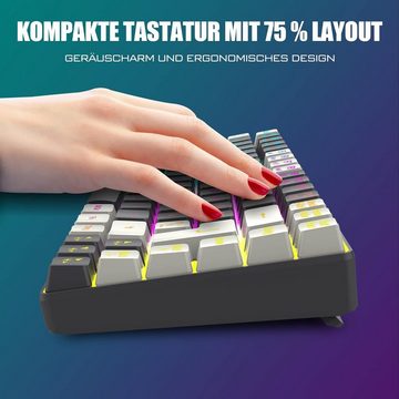 RedThunder RGB-Beleuchtung Tastatur- und Maus-Set, Kabellos, QWERTZ Deutsch, Ergonomisch Hotkeys und Multimedia-Tastatur