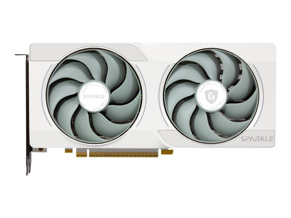 Arc B570 GUARDIAN OC 10 GB GDDR6 Luna Edition Grafikkarte