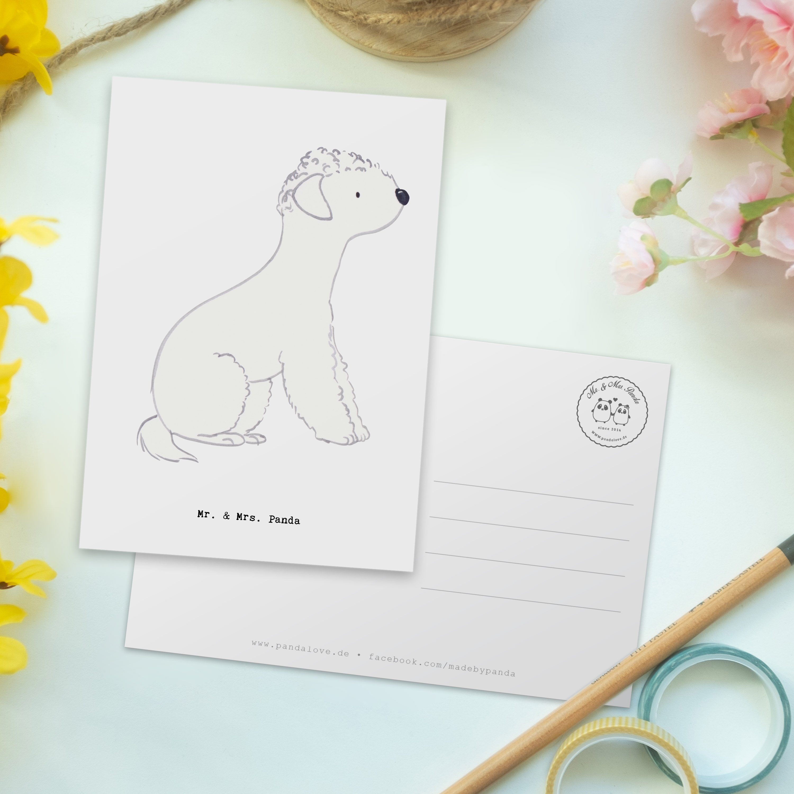 Mrs. Bedlington Terrier - Panda Lebensretter - Postkarte Weiß Geschenk, Karte, Einladung & Mr.